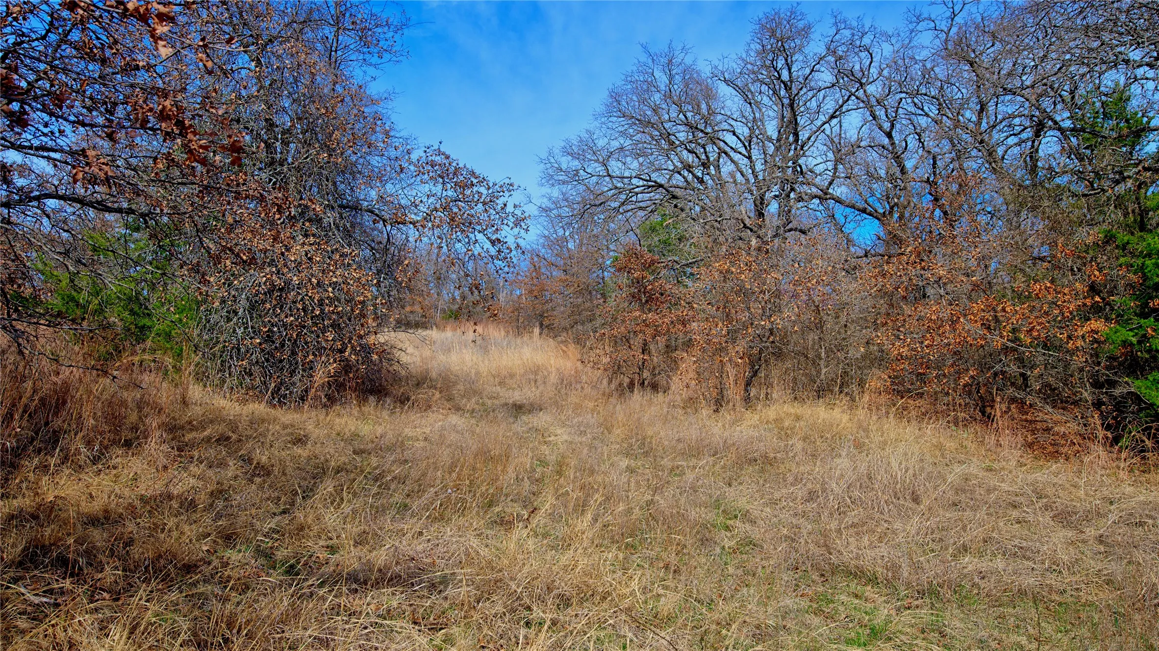 Unimproved Land For Sale in Montague County , 1887 Red Oak Hills Road, Nocona, Texas 76255, 0, 0, Garage spaces, 0 Sqft, built in 0, Price $69,900, mls#21208911, Real Estate Agent in Nocona, Homes For Sale in Montague county, Homes For Sale in Nocona, Realtor in Nocona Texas, Real Estate Brokerage Independent Realty Texas, Luminita Cordes Realtor