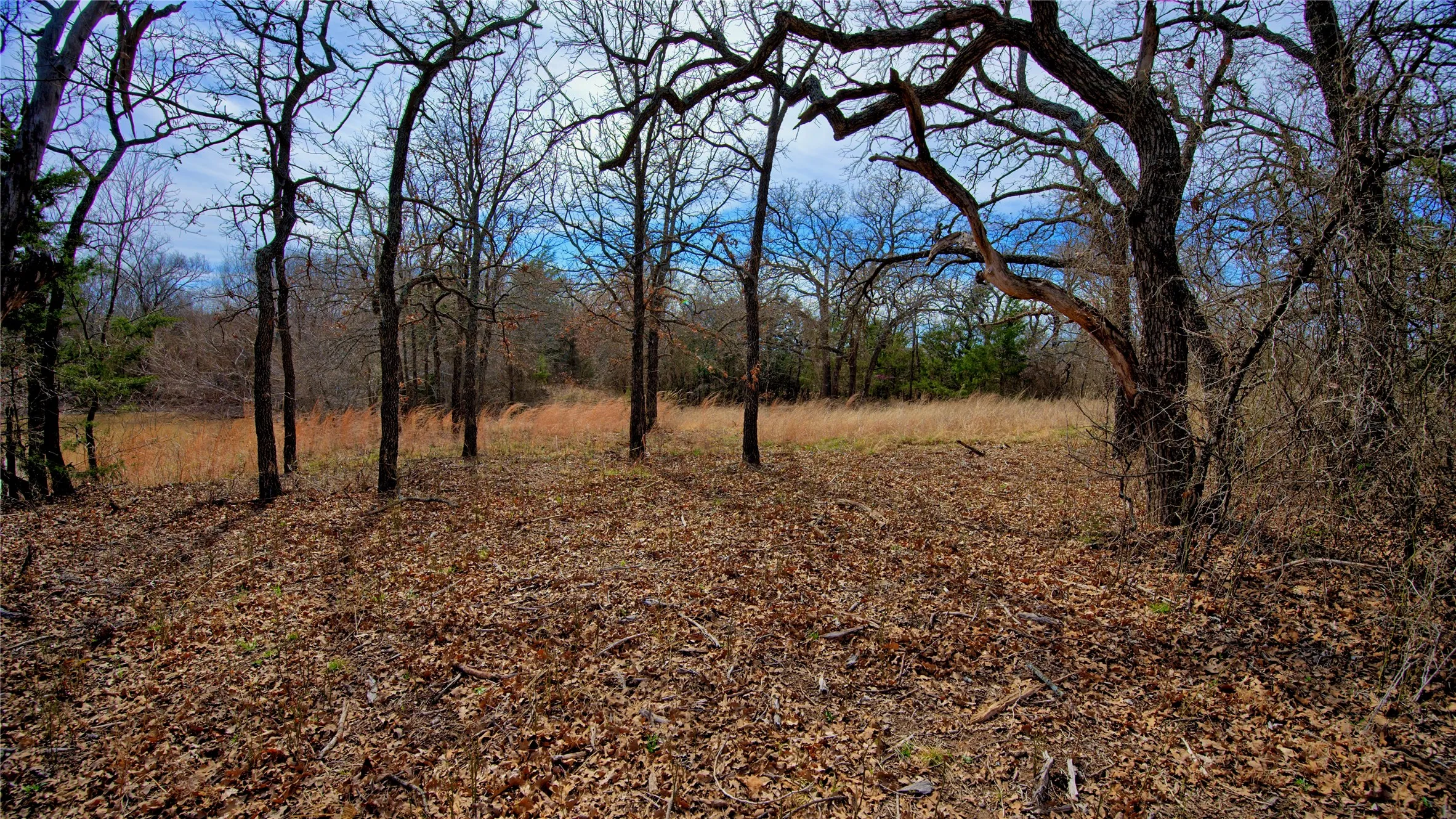 Unimproved Land For Sale in Montague County , 1887 Red Oak Hills Road, Nocona, Texas 76255, 0, 0, Garage spaces, 0 Sqft, built in 0, Price $69,900, mls#21208911, Real Estate Agent in Nocona, Homes For Sale in Montague county, Homes For Sale in Nocona, Realtor in Nocona Texas, Real Estate Brokerage Independent Realty Texas, Luminita Cordes Realtor