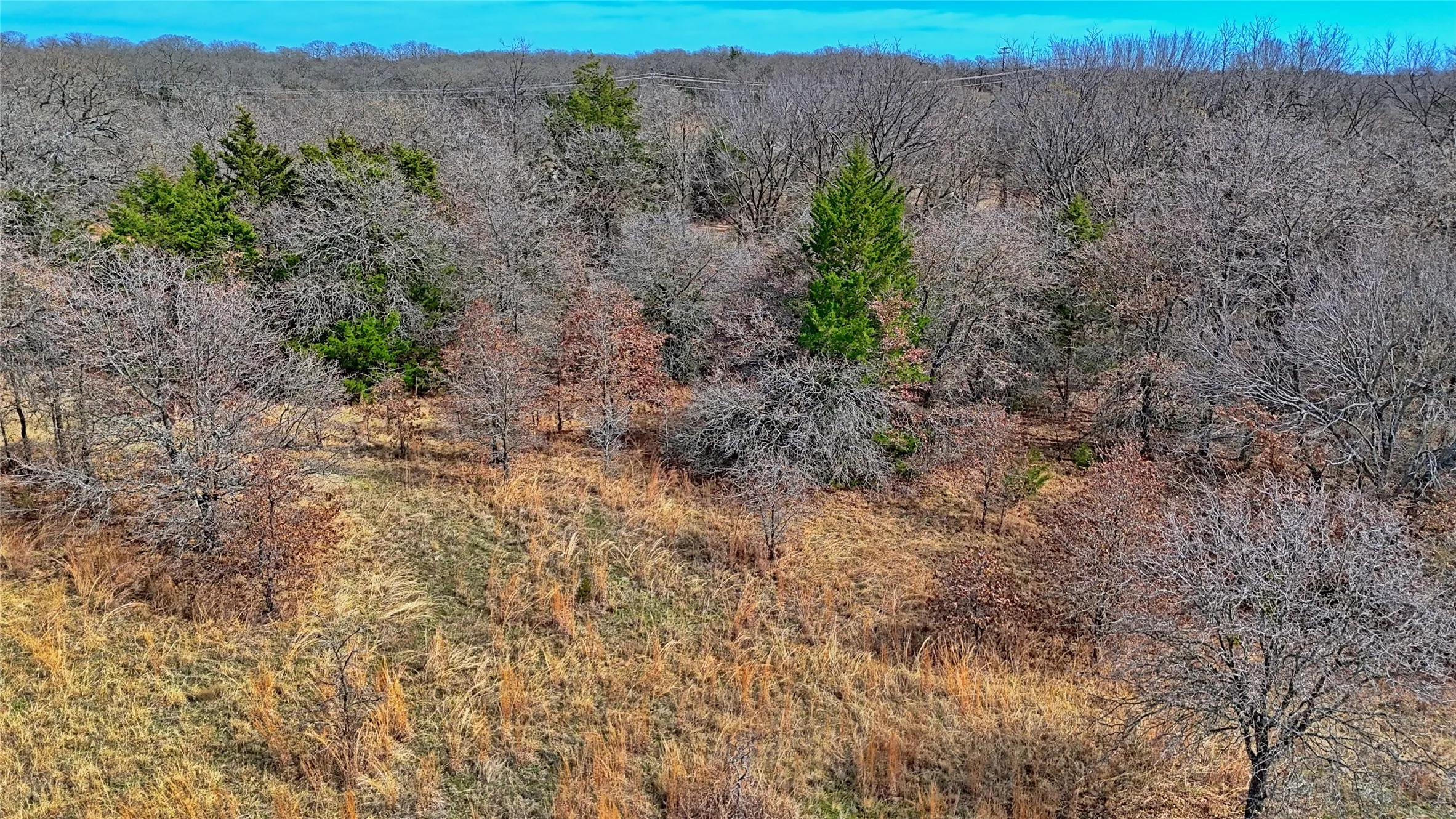 Unimproved Land For Sale in Montague County , 1887 Red Oak Hills Road, Nocona, Texas 76255, 0, 0, Garage spaces, 0 Sqft, built in 0, Price $69,900, mls#21208911, Real Estate Agent in Nocona, Homes For Sale in Montague county, Homes For Sale in Nocona, Realtor in Nocona Texas, Real Estate Brokerage Independent Realty Texas, Luminita Cordes Realtor