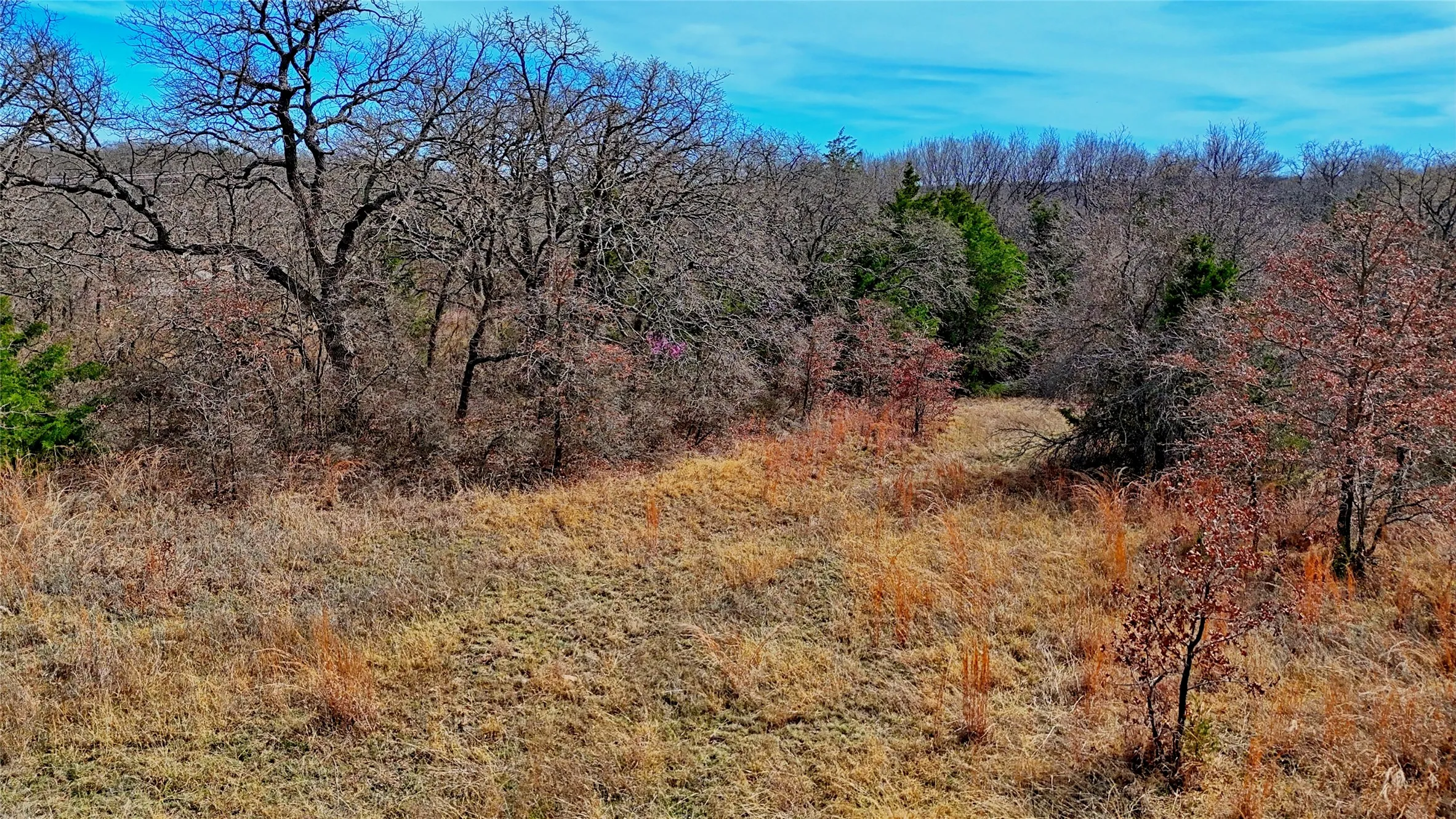 Unimproved Land For Sale in Montague County , 1887 Red Oak Hills Road, Nocona, Texas 76255, 0, 0, Garage spaces, 0 Sqft, built in 0, Price $69,900, mls#21208911, Real Estate Agent in Nocona, Homes For Sale in Montague county, Homes For Sale in Nocona, Realtor in Nocona Texas, Real Estate Brokerage Independent Realty Texas, Luminita Cordes Realtor