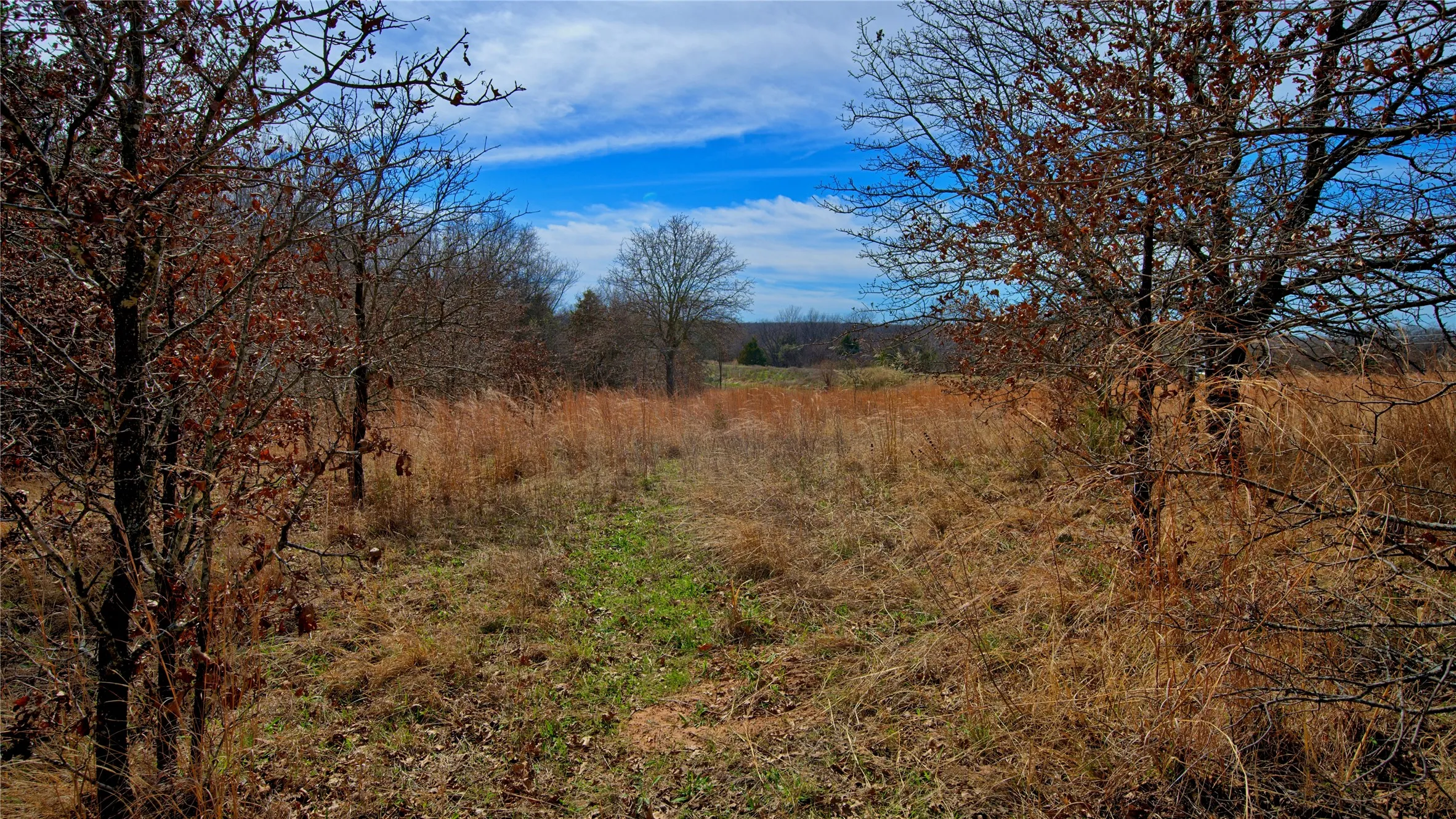 Unimproved Land For Sale in Montague County , 1887 Red Oak Hills Road, Nocona, Texas 76255, 0, 0, Garage spaces, 0 Sqft, built in 0, Price $69,900, mls#21208911, Real Estate Agent in Nocona, Homes For Sale in Montague county, Homes For Sale in Nocona, Realtor in Nocona Texas, Real Estate Brokerage Independent Realty Texas, Luminita Cordes Realtor