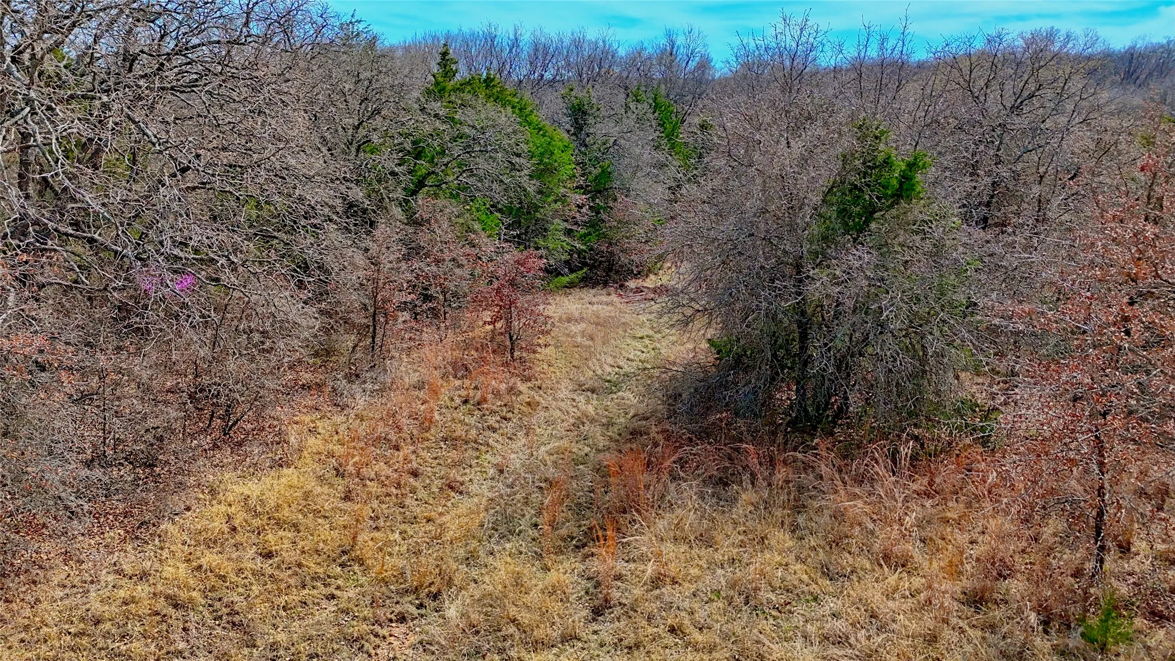 Unimproved Land For Sale in Montague County , 1887 Red Oak Hills Road, Nocona, Texas 76255, 0, 0, Garage spaces, 0 Sqft, built in 0, Price $69,900, mls#21208911, Real Estate Agent in Nocona, Homes For Sale in Montague county, Homes For Sale in Nocona, Realtor in Nocona Texas, Real Estate Brokerage Independent Realty Texas, Luminita Cordes Realtor