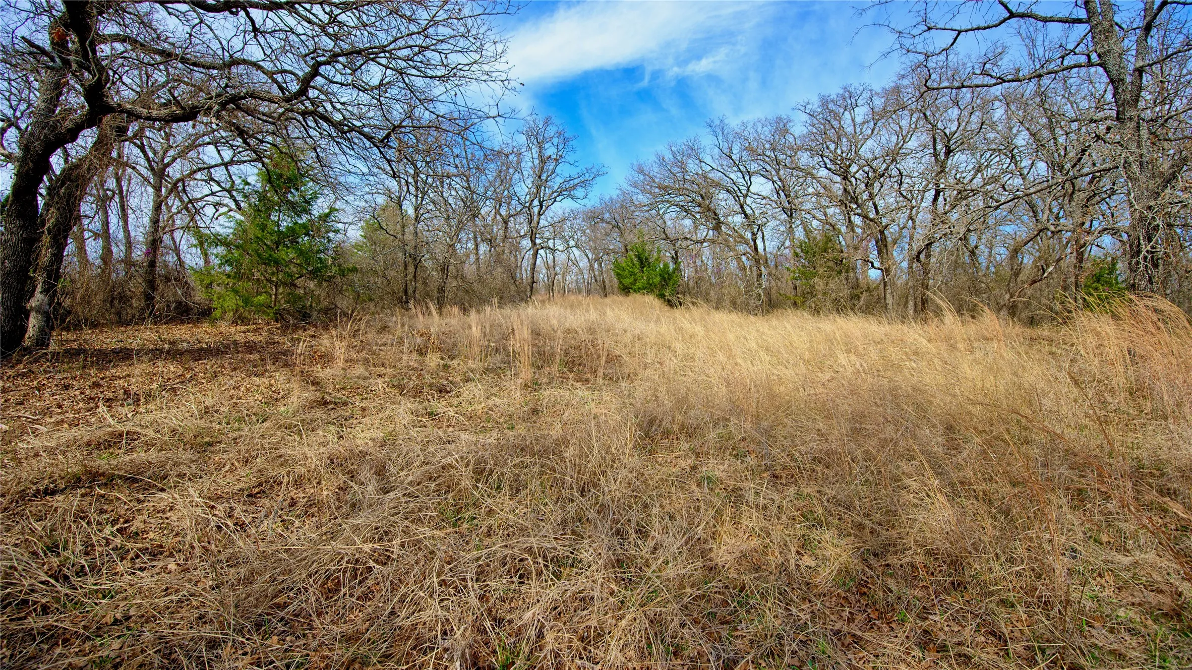 Unimproved Land For Sale in Montague County , 1887 Red Oak Hills Road, Nocona, Texas 76255, 0, 0, Garage spaces, 0 Sqft, built in 0, Price $69,900, mls#21208911, Real Estate Agent in Nocona, Homes For Sale in Montague county, Homes For Sale in Nocona, Realtor in Nocona Texas, Real Estate Brokerage Independent Realty Texas, Luminita Cordes Realtor