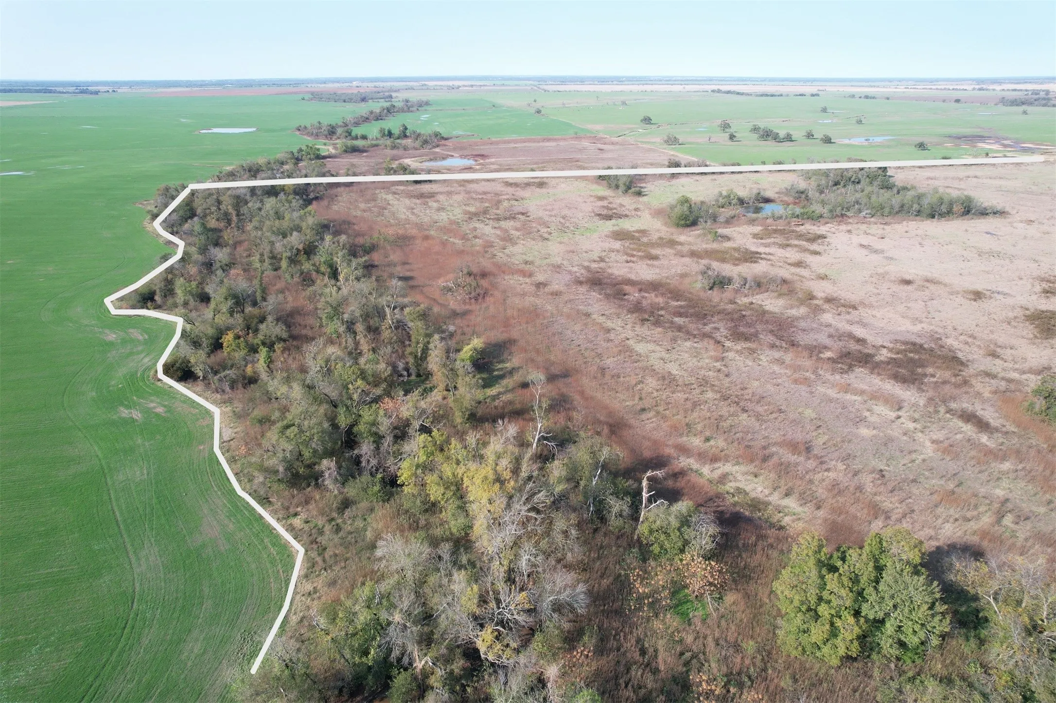 Unimproved Land For Sale in Falls County , 0 E FM 413, Reagan, Texas 76570, 0, 0, Garage spaces, 0 Sqft, built in 0, mls#21209889, Real Estate Agent in Reagan, Homes For Sale in Falls county, Homes For Sale in Reagan, Realtor in Reagan Texas, Real Estate Brokerage Independent Realty Texas, Luminita Cordes Realtor