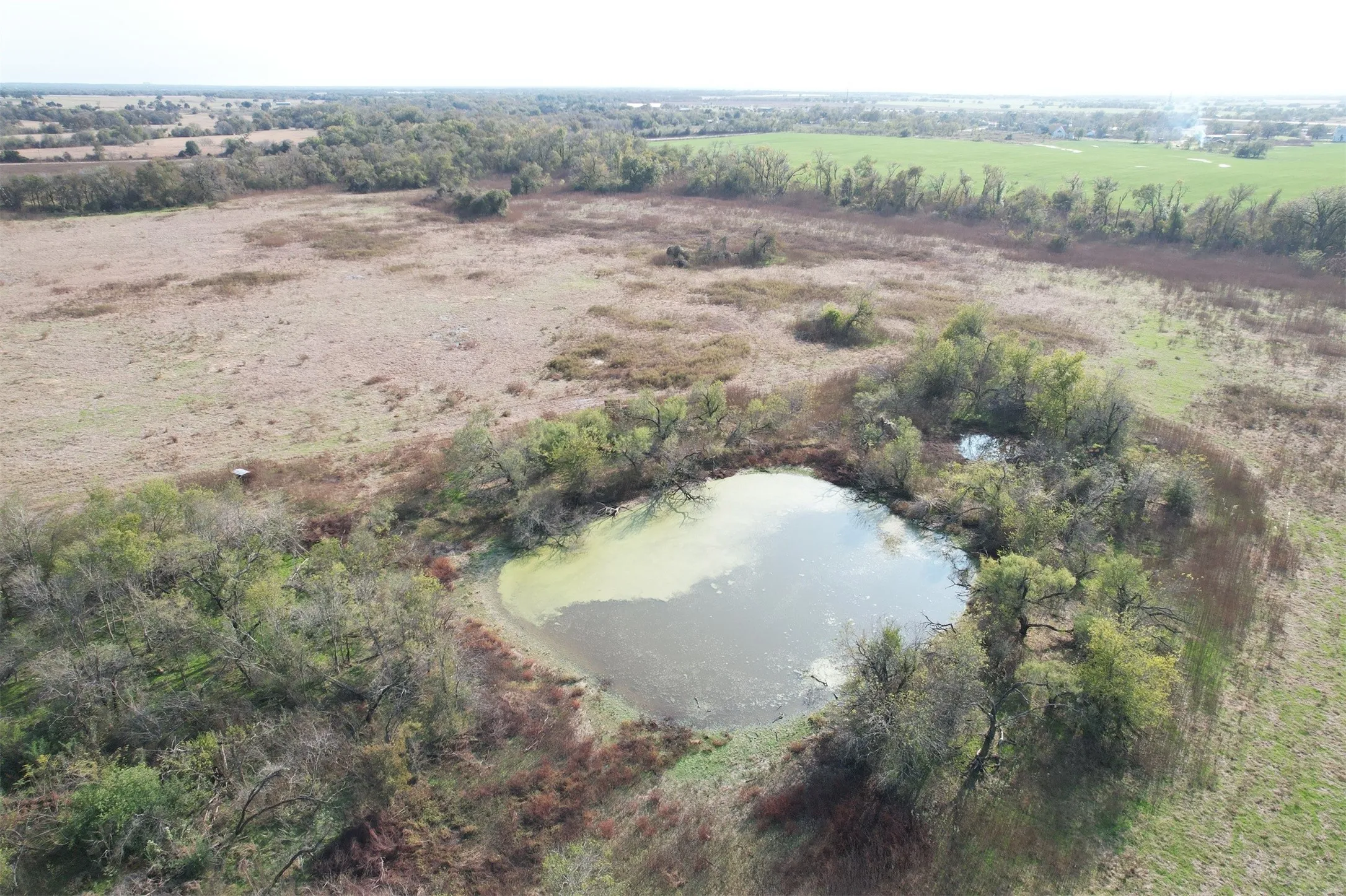 Unimproved Land For Sale in Falls County , 0 E FM 413, Reagan, Texas 76570, 0, 0, Garage spaces, 0 Sqft, built in 0, mls#21209889, Real Estate Agent in Reagan, Homes For Sale in Falls county, Homes For Sale in Reagan, Realtor in Reagan Texas, Real Estate Brokerage Independent Realty Texas, Luminita Cordes Realtor