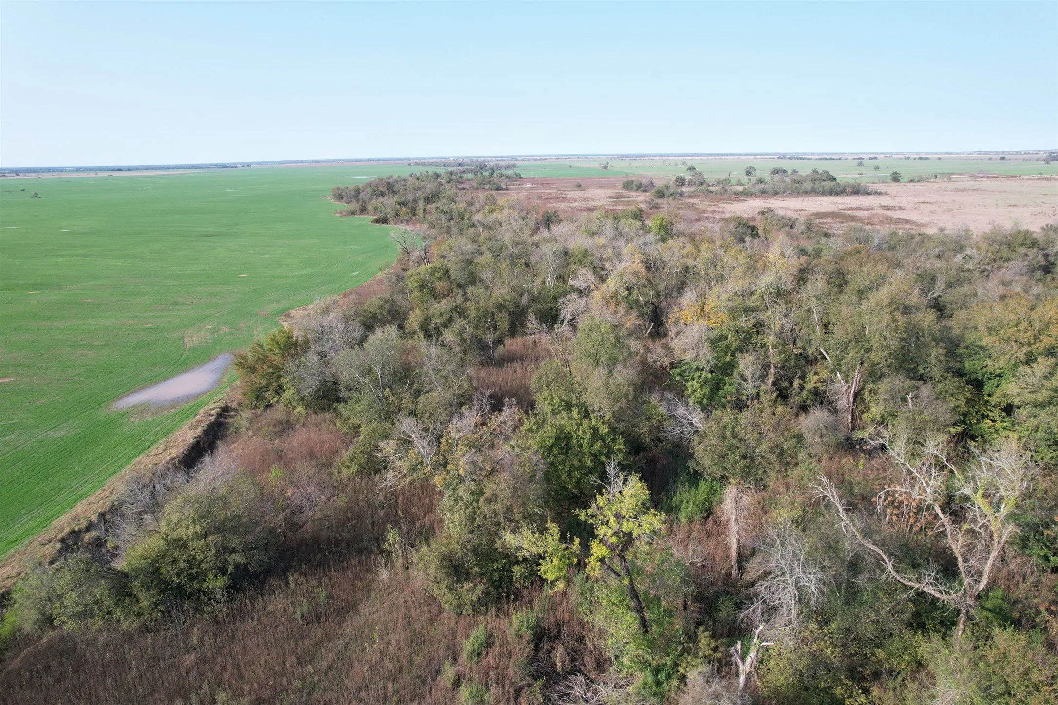 Unimproved Land For Sale in Falls County , 0 E FM 413, Reagan, Texas 76570, 0, 0, Garage spaces, 0 Sqft, built in 0, mls#21209889, Real Estate Agent in Reagan, Homes For Sale in Falls county, Homes For Sale in Reagan, Realtor in Reagan Texas, Real Estate Brokerage Independent Realty Texas, Luminita Cordes Realtor