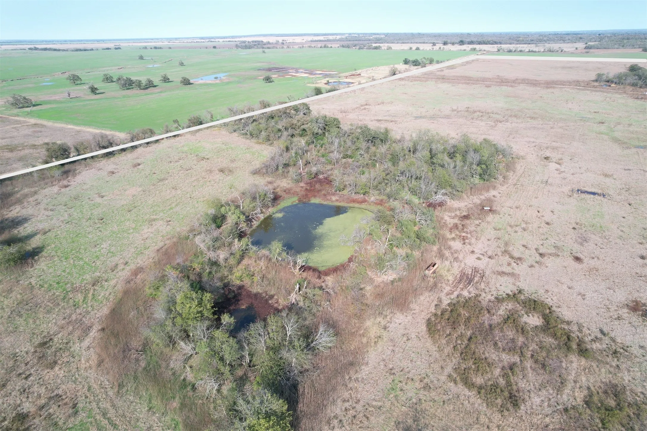 Unimproved Land For Sale in Falls County , 0 E FM 413, Reagan, Texas 76570, 0, 0, Garage spaces, 0 Sqft, built in 0, mls#21209889, Real Estate Agent in Reagan, Homes For Sale in Falls county, Homes For Sale in Reagan, Realtor in Reagan Texas, Real Estate Brokerage Independent Realty Texas, Luminita Cordes Realtor