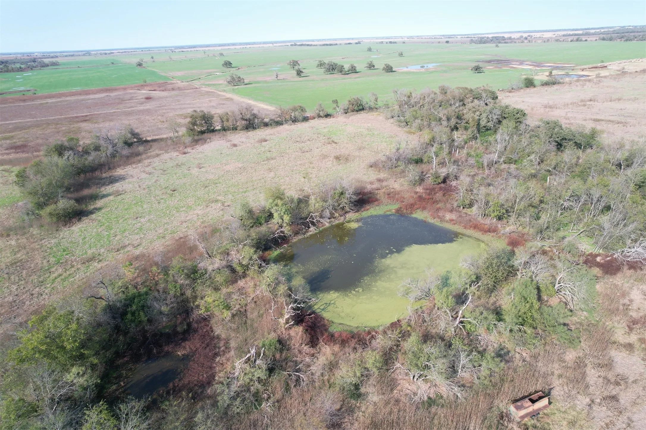 Unimproved Land For Sale in Falls County , 0 E FM 413, Reagan, Texas 76570, 0, 0, Garage spaces, 0 Sqft, built in 0, mls#21209889, Real Estate Agent in Reagan, Homes For Sale in Falls county, Homes For Sale in Reagan, Realtor in Reagan Texas, Real Estate Brokerage Independent Realty Texas, Luminita Cordes Realtor
