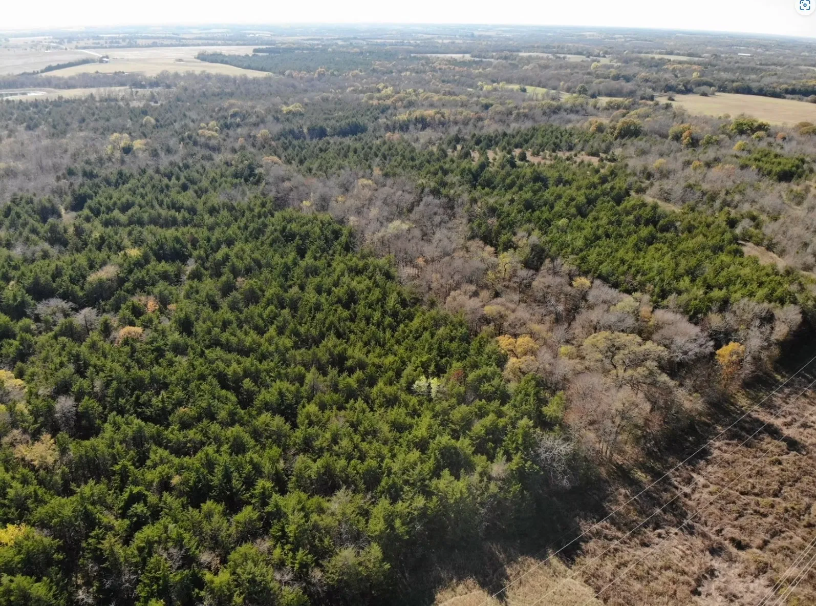 Unimproved Land For Sale in Fannin County , Tract 9 Farm to Market 1743, Honey Grove, Texas 75446, 0, 0, Garage spaces, 0 Sqft, built in 0, mls#21209934, Real Estate Agent in Honey Grove, Homes For Sale in Fannin county, Homes For Sale in Honey Grove, Realtor in Honey Grove Texas, Real Estate Brokerage Independent Realty Texas, Luminita Cordes Realtor