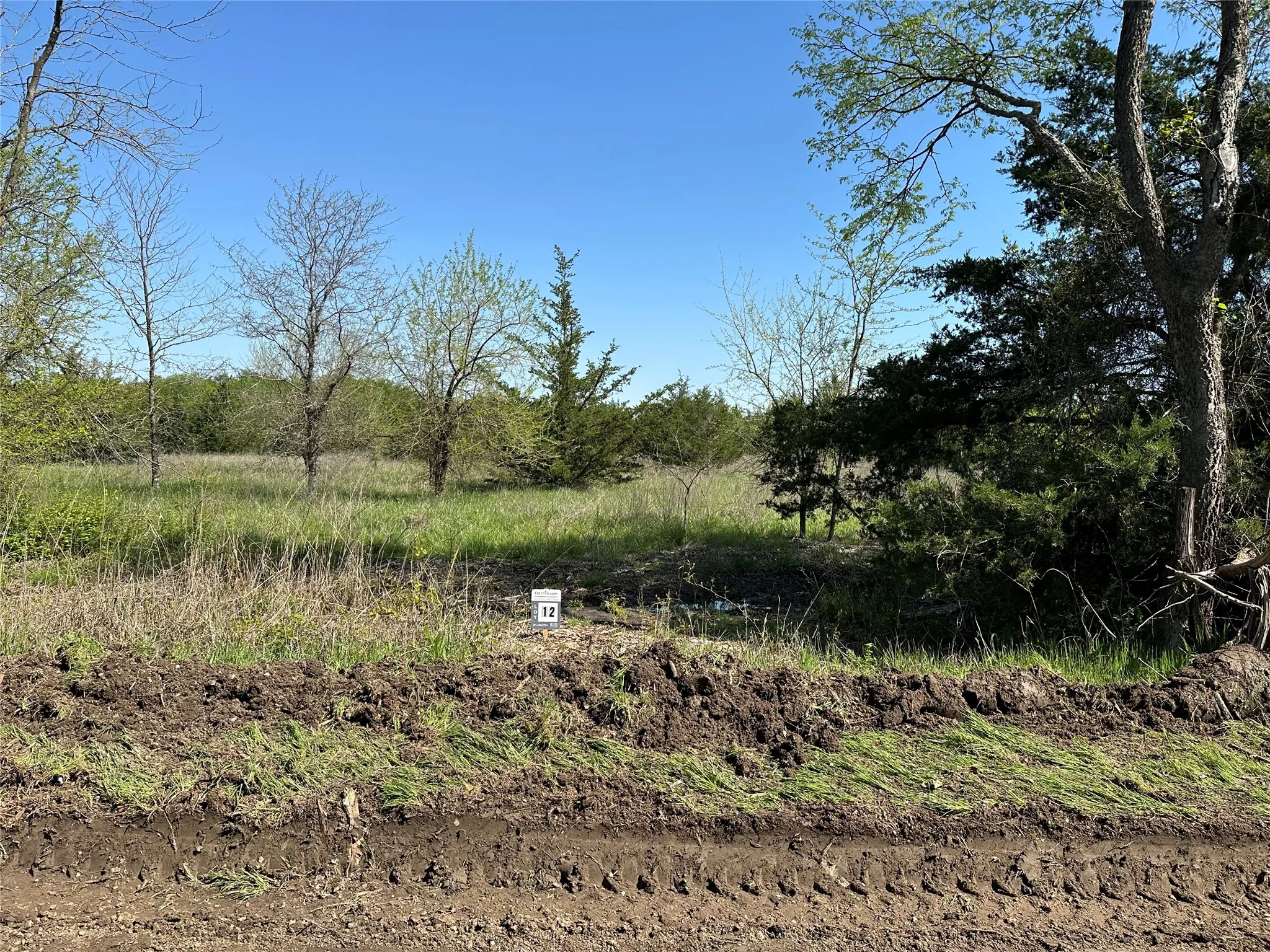 Unimproved Land For Sale in Fannin County , Tract 12 County Road 2951, Honey Grove, Texas 75446, 0, 0, Garage spaces, 0 Sqft, built in 0, mls#21209958, Real Estate Agent in Honey Grove, Homes For Sale in Fannin county, Homes For Sale in Honey Grove, Realtor in Honey Grove Texas, Real Estate Brokerage Independent Realty Texas, Luminita Cordes Realtor