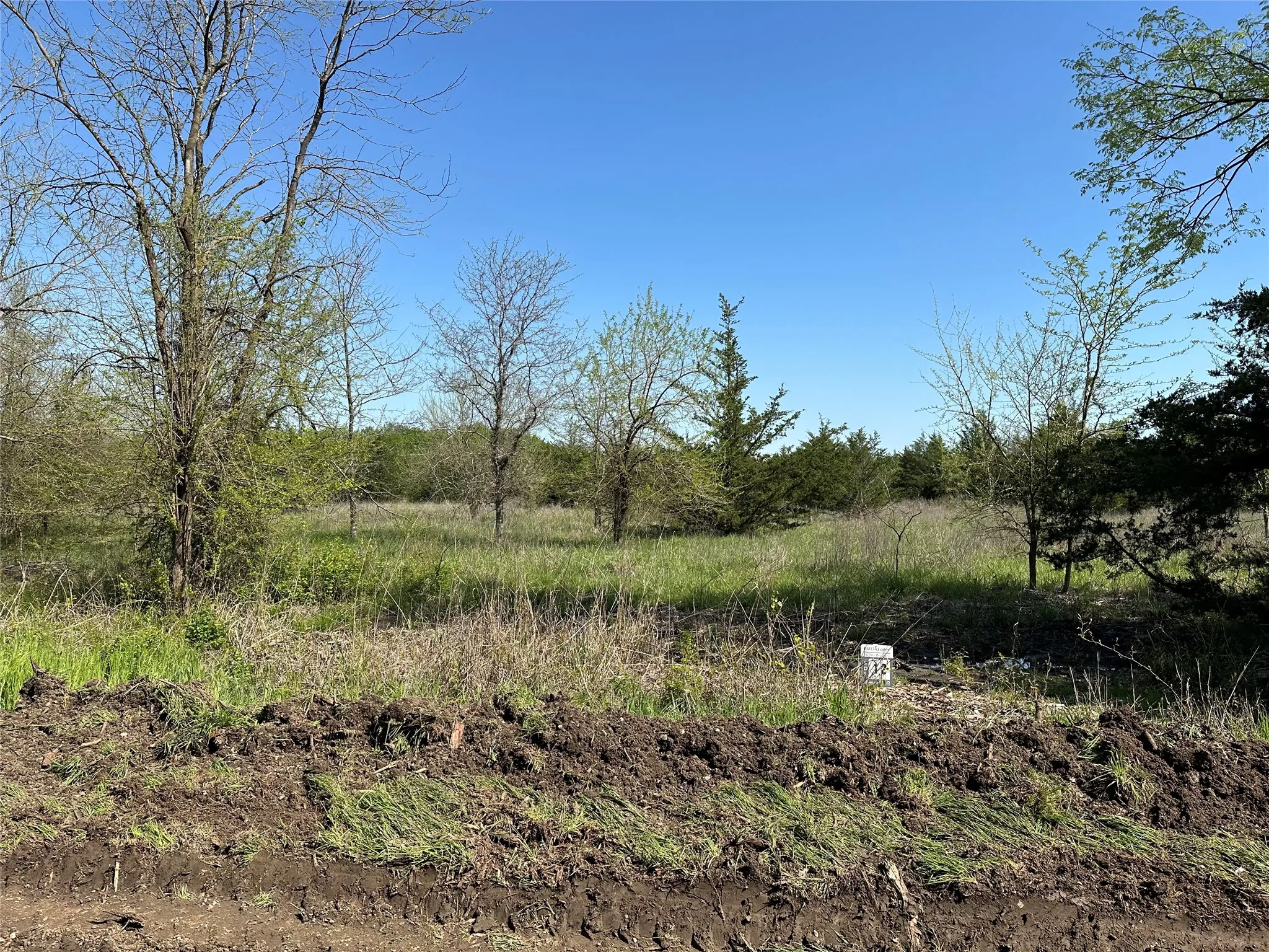 Unimproved Land For Sale in Fannin County , Tract 12 County Road 2951, Honey Grove, Texas 75446, 0, 0, Garage spaces, 0 Sqft, built in 0, mls#21209958, Real Estate Agent in Honey Grove, Homes For Sale in Fannin county, Homes For Sale in Honey Grove, Realtor in Honey Grove Texas, Real Estate Brokerage Independent Realty Texas, Luminita Cordes Realtor
