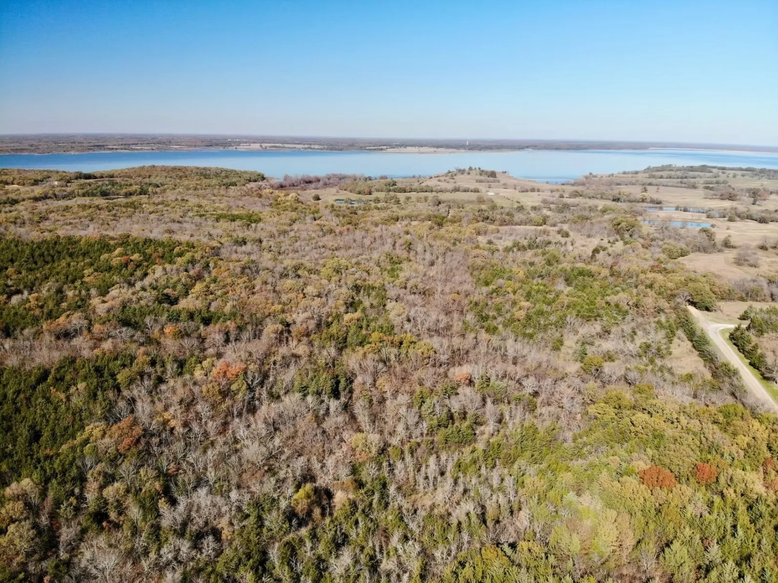 Unimproved Land For Sale in Fannin County , Tract 12 County Road 2951, Honey Grove, Texas 75446, 0, 0, Garage spaces, 0 Sqft, built in 0, mls#21209958, Real Estate Agent in Honey Grove, Homes For Sale in Fannin county, Homes For Sale in Honey Grove, Realtor in Honey Grove Texas, Real Estate Brokerage Independent Realty Texas, Luminita Cordes Realtor