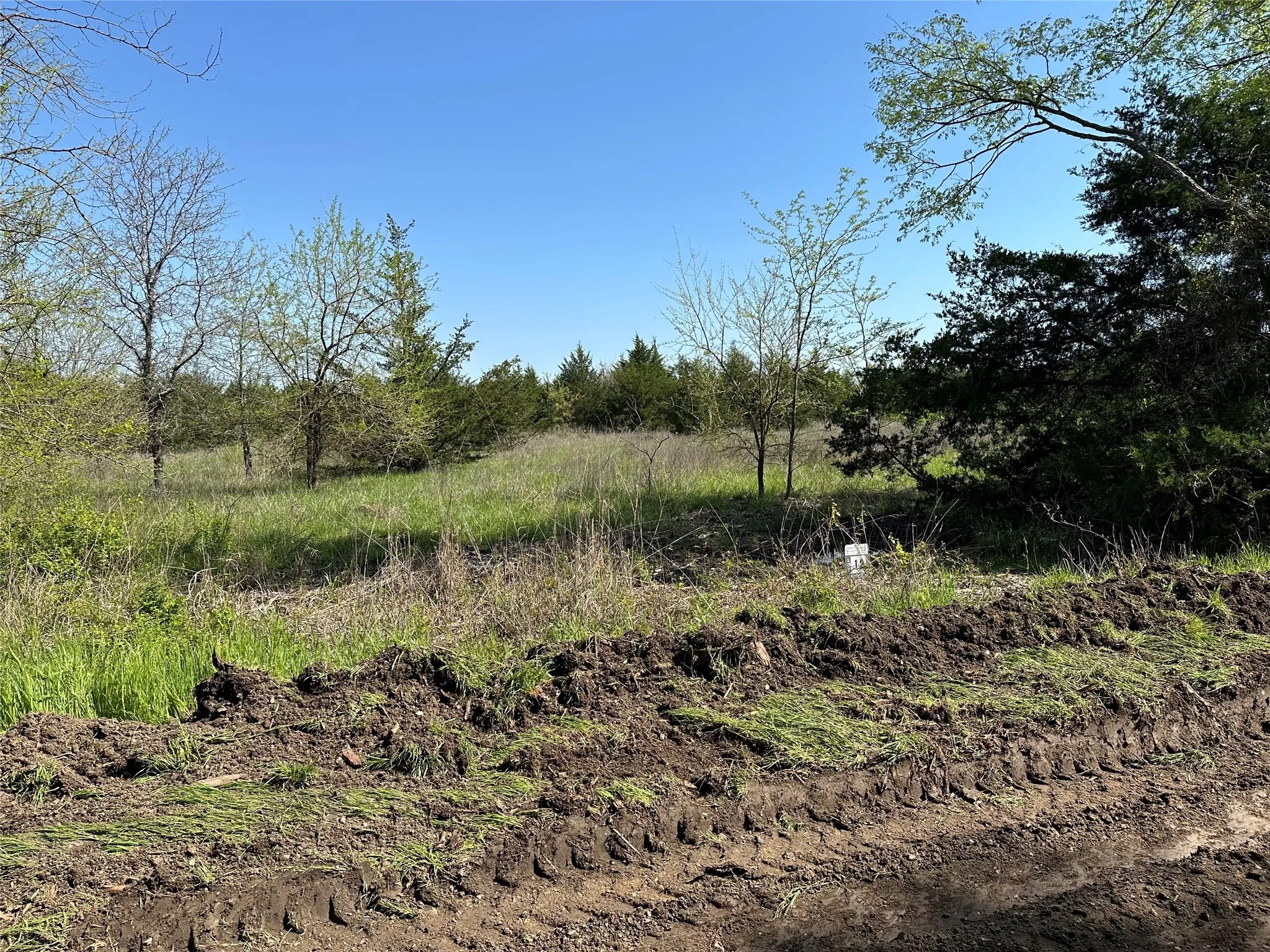 Unimproved Land For Sale in Fannin County , Tract 12 County Road 2951, Honey Grove, Texas 75446, 0, 0, Garage spaces, 0 Sqft, built in 0, mls#21209958, Real Estate Agent in Honey Grove, Homes For Sale in Fannin county, Homes For Sale in Honey Grove, Realtor in Honey Grove Texas, Real Estate Brokerage Independent Realty Texas, Luminita Cordes Realtor