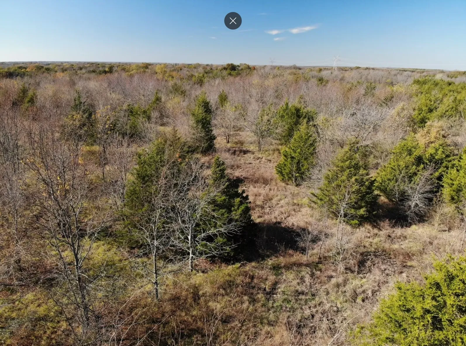 Unimproved Land For Sale in Fannin County , Tract 12 County Road 2951, Honey Grove, Texas 75446, 0, 0, Garage spaces, 0 Sqft, built in 0, mls#21209958, Real Estate Agent in Honey Grove, Homes For Sale in Fannin county, Homes For Sale in Honey Grove, Realtor in Honey Grove Texas, Real Estate Brokerage Independent Realty Texas, Luminita Cordes Realtor