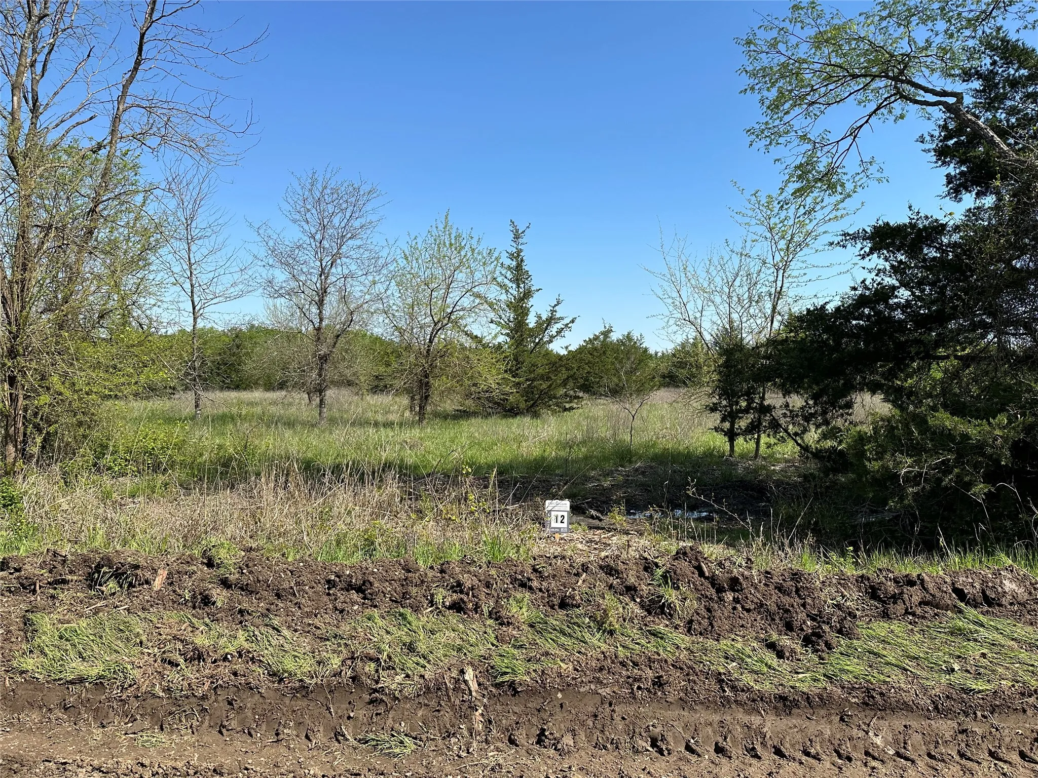 Unimproved Land For Sale in Fannin County , Tract 12 County Road 2951, Honey Grove, Texas 75446, 0, 0, Garage spaces, 0 Sqft, built in 0, mls#21209958, Real Estate Agent in Honey Grove, Homes For Sale in Fannin county, Homes For Sale in Honey Grove, Realtor in Honey Grove Texas, Real Estate Brokerage Independent Realty Texas, Luminita Cordes Realtor