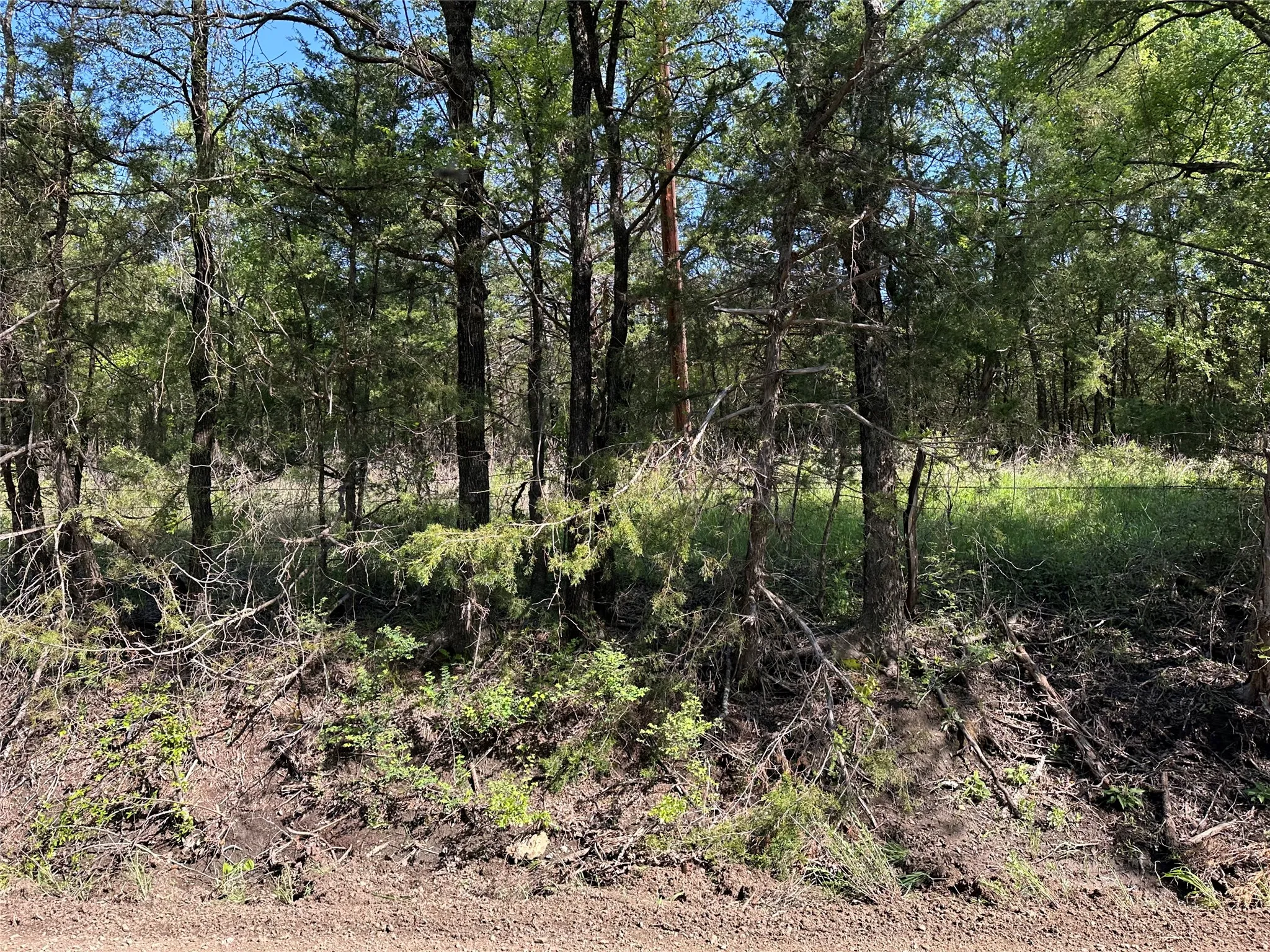 Unimproved Land For Sale in Fannin County , Tract 13 County Road 2951, Honey Grove, Texas 75446, 0, 0, Garage spaces, 0 Sqft, built in 0, mls#21210007, Real Estate Agent in Honey Grove, Homes For Sale in Fannin county, Homes For Sale in Honey Grove, Realtor in Honey Grove Texas, Real Estate Brokerage Independent Realty Texas, Luminita Cordes Realtor