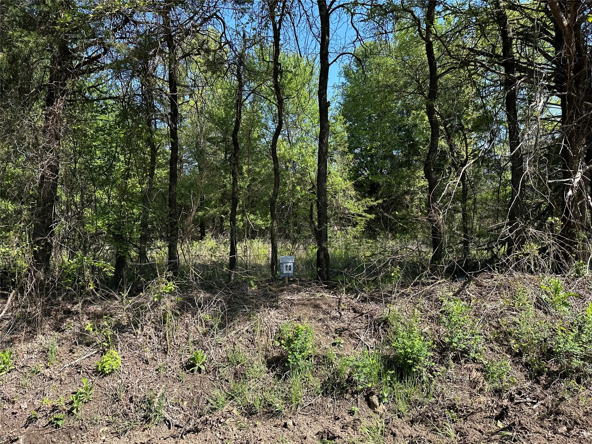 Unimproved Land For Sale in Fannin County , Tract 13 County Road 2951, Honey Grove, Texas 75446, 0, 0, Garage spaces, 0 Sqft, built in 0, mls#21210007, Real Estate Agent in Honey Grove, Homes For Sale in Fannin county, Homes For Sale in Honey Grove, Realtor in Honey Grove Texas, Real Estate Brokerage Independent Realty Texas, Luminita Cordes Realtor