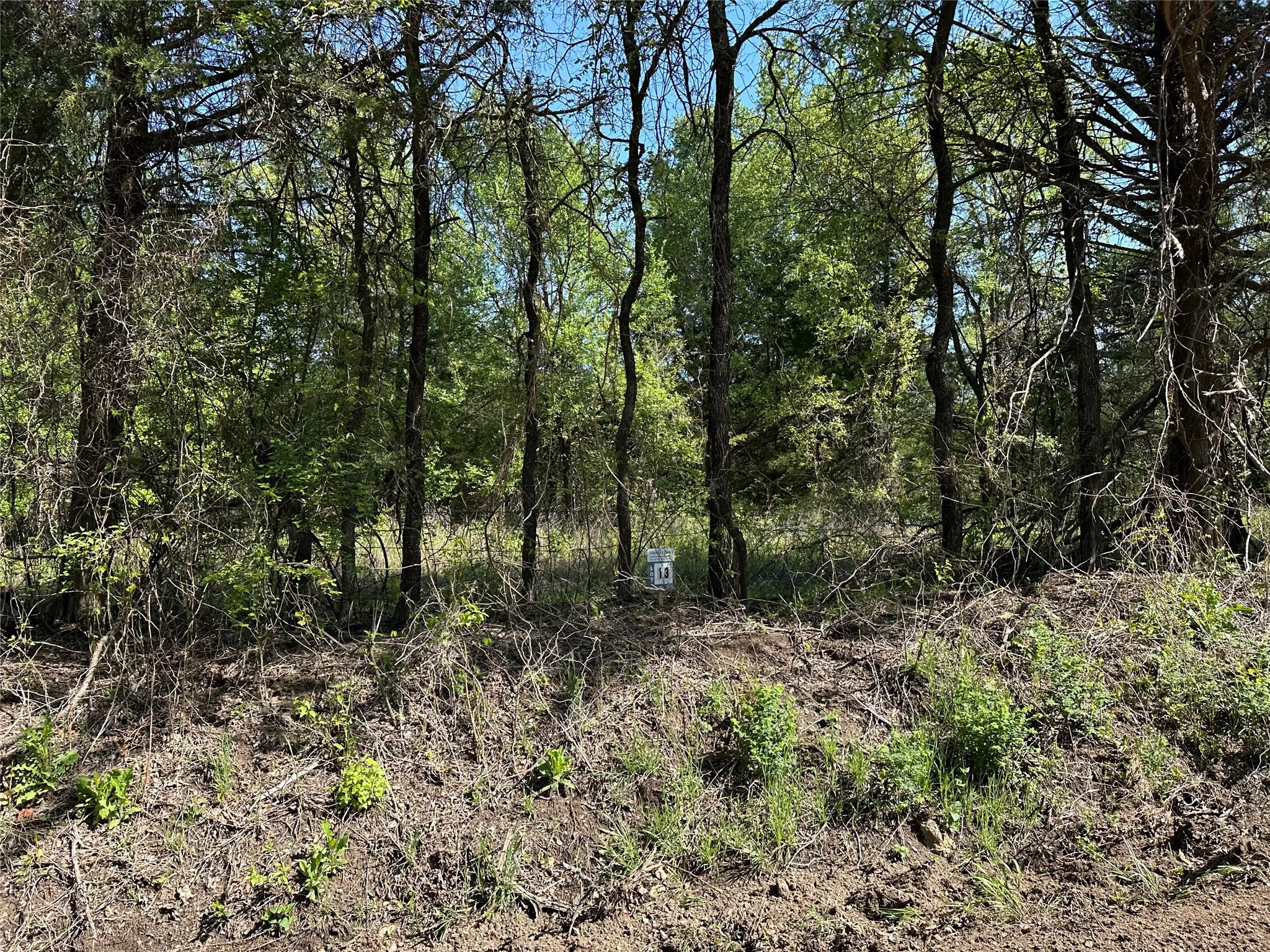Unimproved Land For Sale in Fannin County , Tract 13 County Road 2951, Honey Grove, Texas 75446, 0, 0, Garage spaces, 0 Sqft, built in 0, mls#21210007, Real Estate Agent in Honey Grove, Homes For Sale in Fannin county, Homes For Sale in Honey Grove, Realtor in Honey Grove Texas, Real Estate Brokerage Independent Realty Texas, Luminita Cordes Realtor