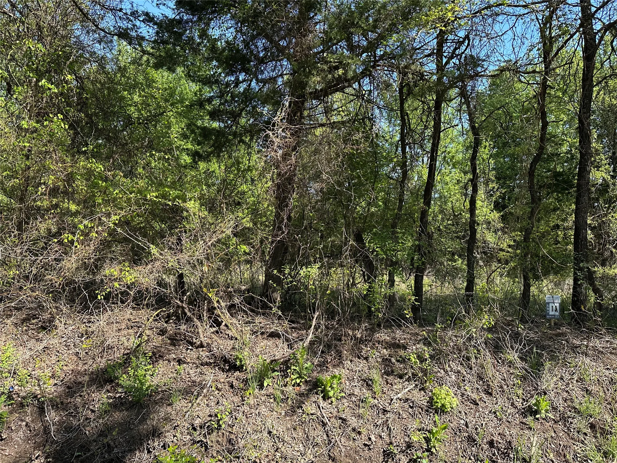Unimproved Land For Sale in Fannin County , Tract 13 County Road 2951, Honey Grove, Texas 75446, 0, 0, Garage spaces, 0 Sqft, built in 0, mls#21210007, Real Estate Agent in Honey Grove, Homes For Sale in Fannin county, Homes For Sale in Honey Grove, Realtor in Honey Grove Texas, Real Estate Brokerage Independent Realty Texas, Luminita Cordes Realtor