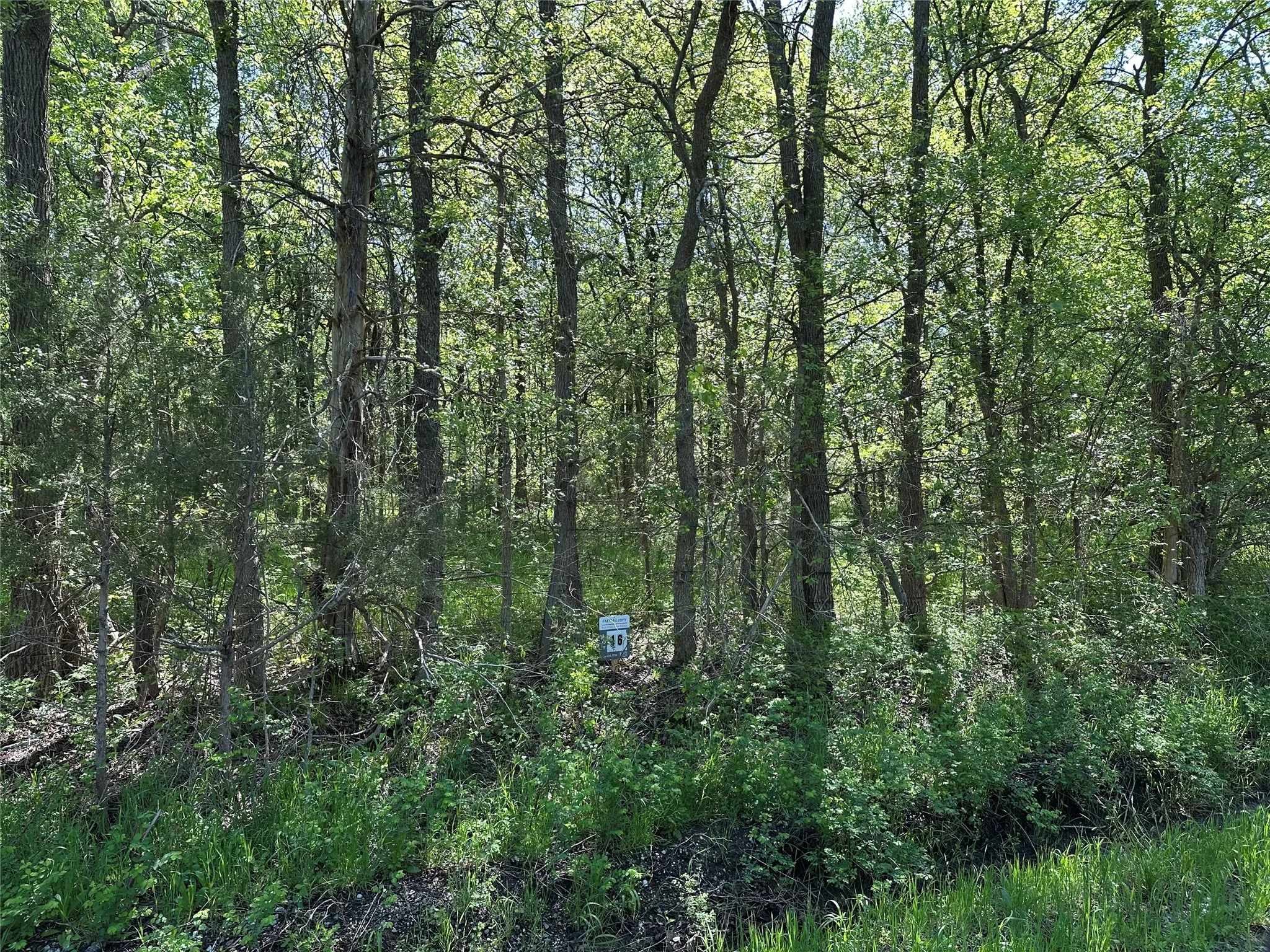 Unimproved Land For Sale in Fannin County , Tract 16 County Road 2960, Honey Grove, Texas 75446, 0, 0, Garage spaces, 0 Sqft, built in 0, mls#21210059, Real Estate Agent in Honey Grove, Homes For Sale in Fannin county, Homes For Sale in Honey Grove, Realtor in Honey Grove Texas, Real Estate Brokerage Independent Realty Texas, Luminita Cordes Realtor