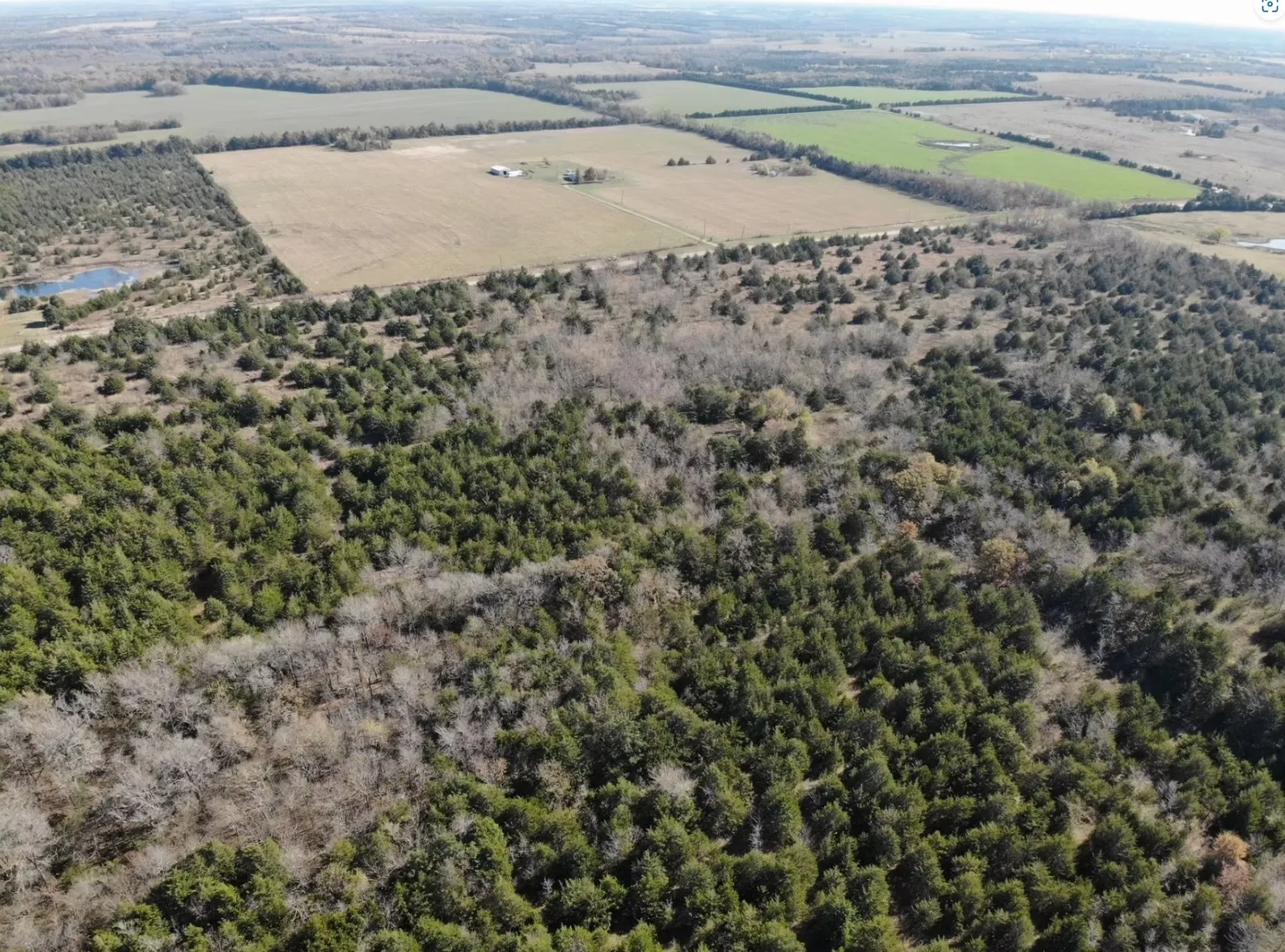 Unimproved Land For Sale in Fannin County , Tract 16 County Road 2960, Honey Grove, Texas 75446, 0, 0, Garage spaces, 0 Sqft, built in 0, mls#21210059, Real Estate Agent in Honey Grove, Homes For Sale in Fannin county, Homes For Sale in Honey Grove, Realtor in Honey Grove Texas, Real Estate Brokerage Independent Realty Texas, Luminita Cordes Realtor