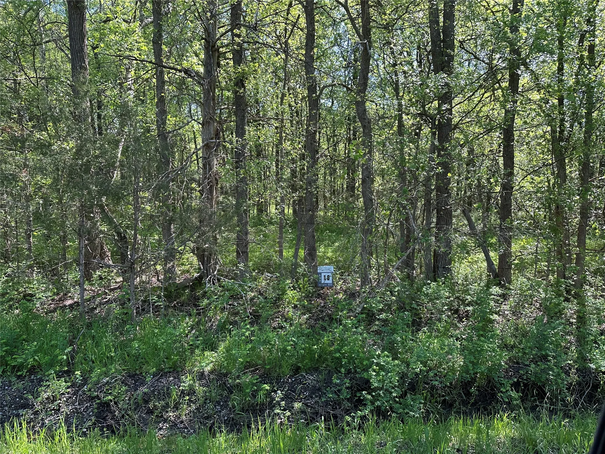 Unimproved Land For Sale in Fannin County , Tract 16 County Road 2960, Honey Grove, Texas 75446, 0, 0, Garage spaces, 0 Sqft, built in 0, mls#21210059, Real Estate Agent in Honey Grove, Homes For Sale in Fannin county, Homes For Sale in Honey Grove, Realtor in Honey Grove Texas, Real Estate Brokerage Independent Realty Texas, Luminita Cordes Realtor