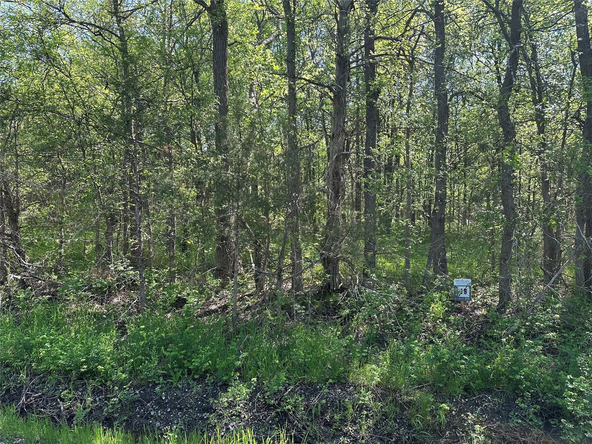 Unimproved Land For Sale in Fannin County , Tract 16 County Road 2960, Honey Grove, Texas 75446, 0, 0, Garage spaces, 0 Sqft, built in 0, mls#21210059, Real Estate Agent in Honey Grove, Homes For Sale in Fannin county, Homes For Sale in Honey Grove, Realtor in Honey Grove Texas, Real Estate Brokerage Independent Realty Texas, Luminita Cordes Realtor