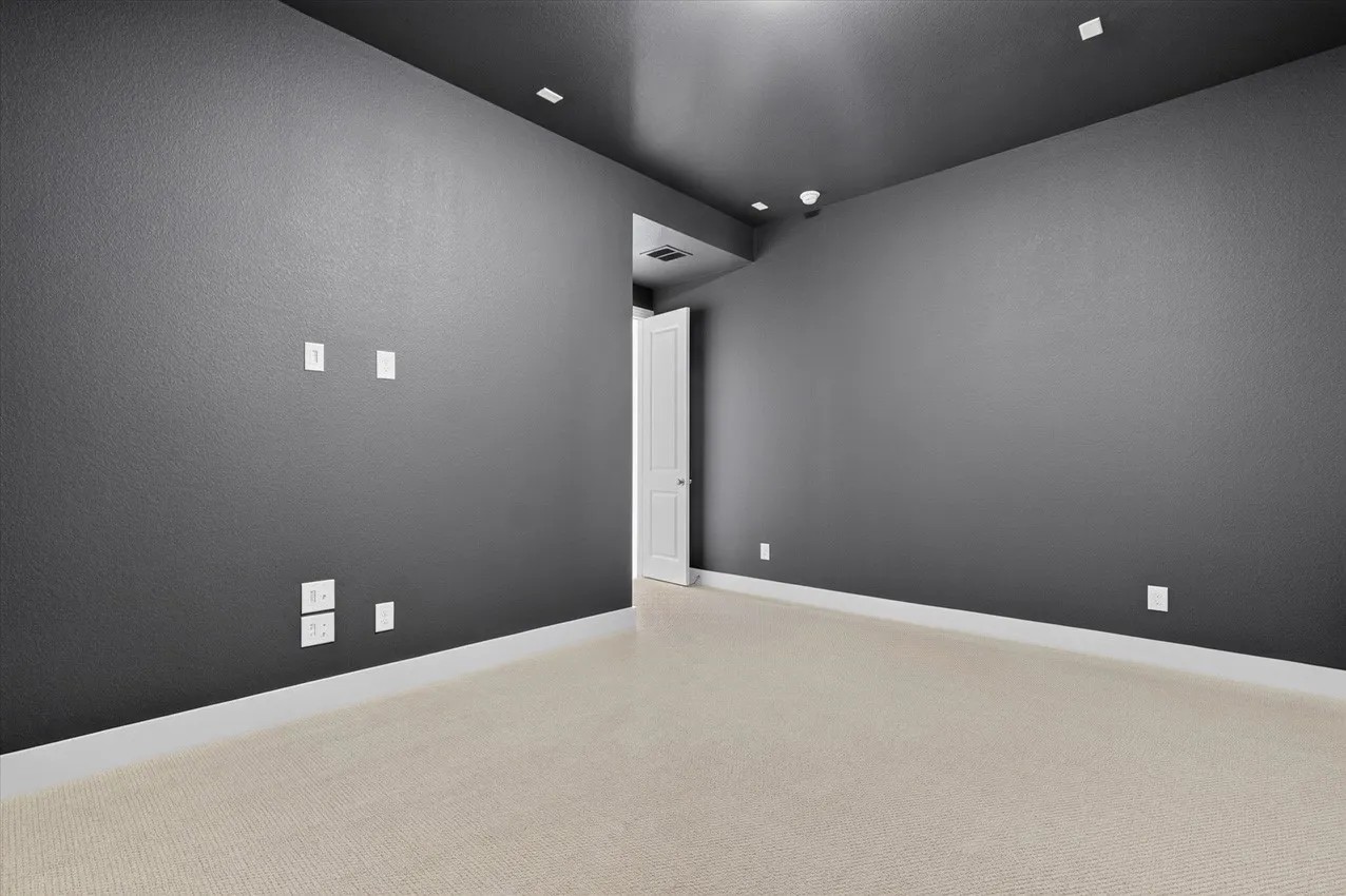 Entertainment Room