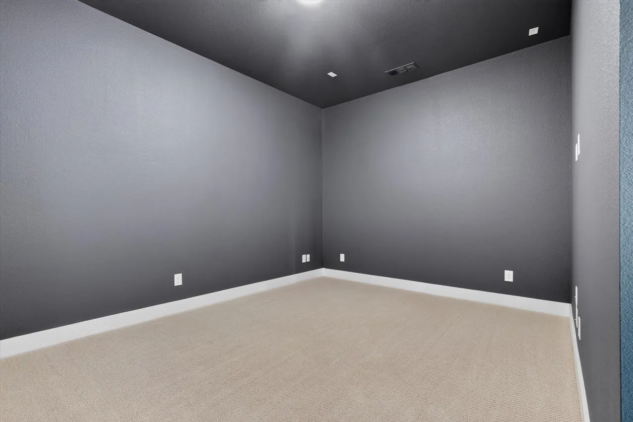 Entertainment Room