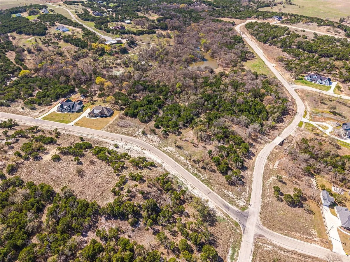 Aerial view of a tree filled landscape