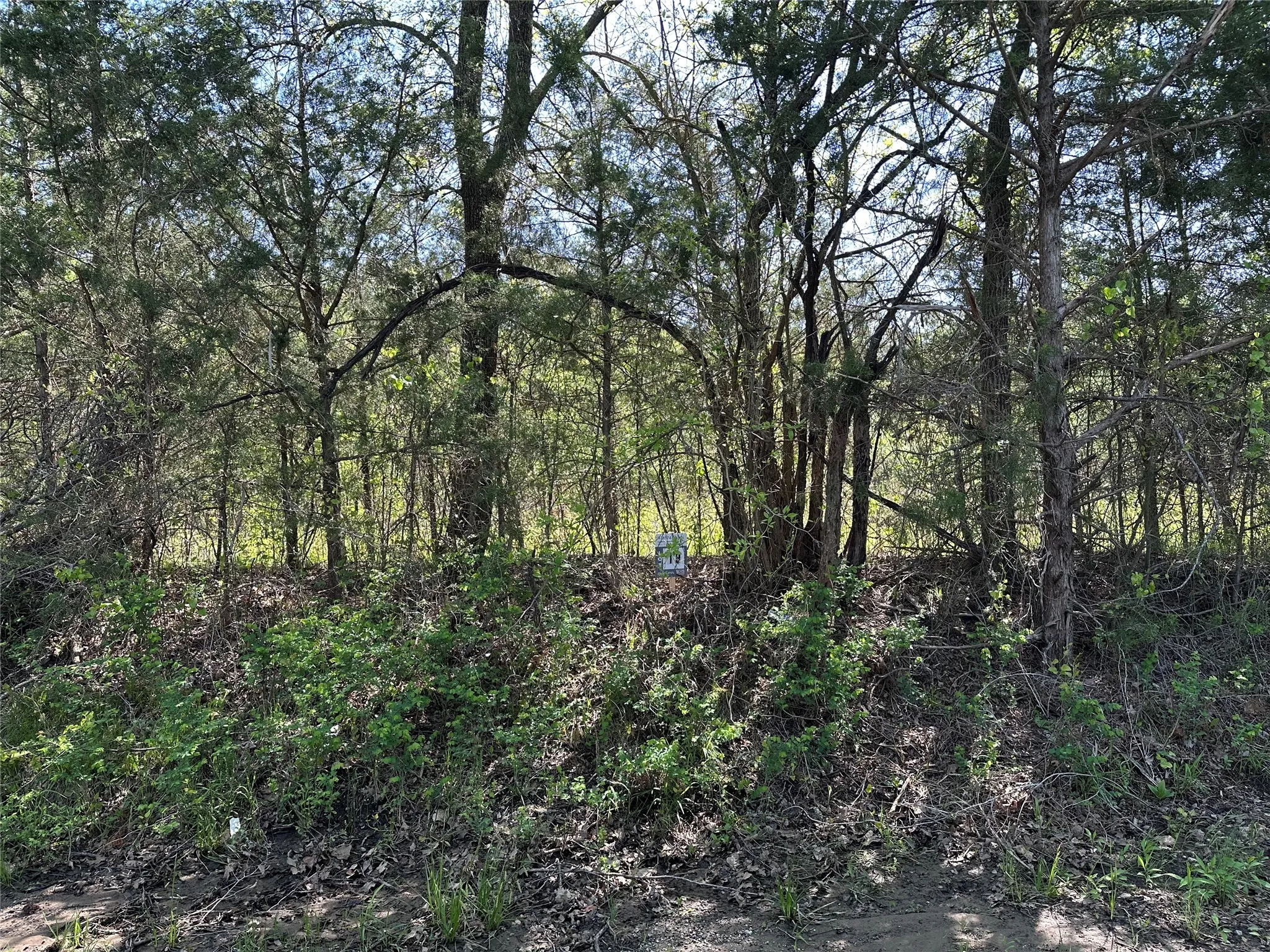 Unimproved Land For Sale in Fannin County , Tract 19 County Road 2960, Honey Grove, Texas 75446, 0, 0, Garage spaces, 0 Sqft, built in 0, mls#21210122, Real Estate Agent in Honey Grove, Homes For Sale in Fannin county, Homes For Sale in Honey Grove, Realtor in Honey Grove Texas, Real Estate Brokerage Independent Realty Texas, Luminita Cordes Realtor