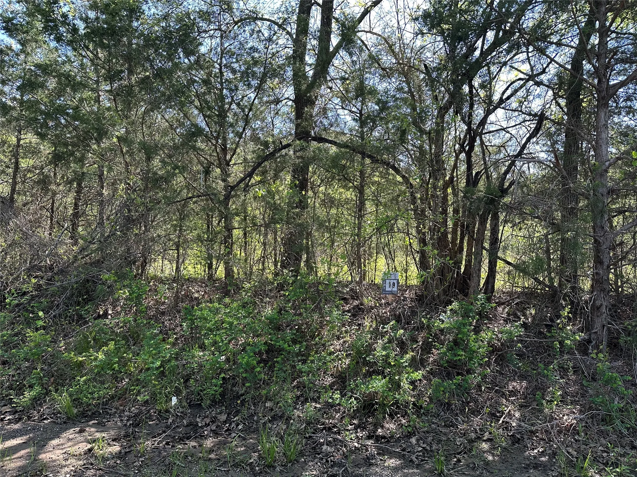 Unimproved Land For Sale in Fannin County , Tract 19 County Road 2960, Honey Grove, Texas 75446, 0, 0, Garage spaces, 0 Sqft, built in 0, mls#21210122, Real Estate Agent in Honey Grove, Homes For Sale in Fannin county, Homes For Sale in Honey Grove, Realtor in Honey Grove Texas, Real Estate Brokerage Independent Realty Texas, Luminita Cordes Realtor