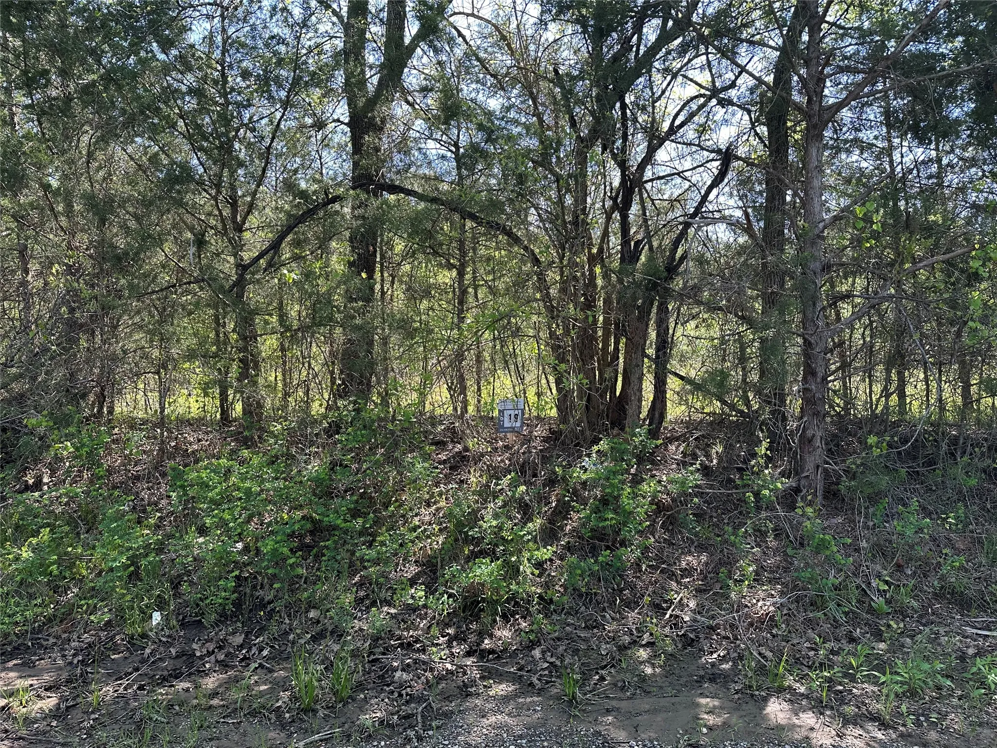 Unimproved Land For Sale in Fannin County , Tract 19 County Road 2960, Honey Grove, Texas 75446, 0, 0, Garage spaces, 0 Sqft, built in 0, mls#21210122, Real Estate Agent in Honey Grove, Homes For Sale in Fannin county, Homes For Sale in Honey Grove, Realtor in Honey Grove Texas, Real Estate Brokerage Independent Realty Texas, Luminita Cordes Realtor