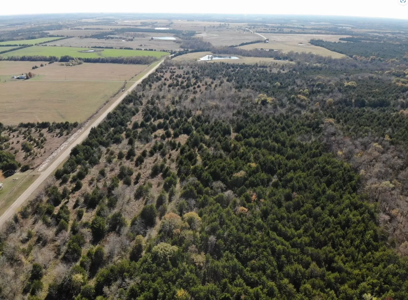 Unimproved Land For Sale in Fannin County , Tract 19 County Road 2960, Honey Grove, Texas 75446, 0, 0, Garage spaces, 0 Sqft, built in 0, mls#21210122, Real Estate Agent in Honey Grove, Homes For Sale in Fannin county, Homes For Sale in Honey Grove, Realtor in Honey Grove Texas, Real Estate Brokerage Independent Realty Texas, Luminita Cordes Realtor