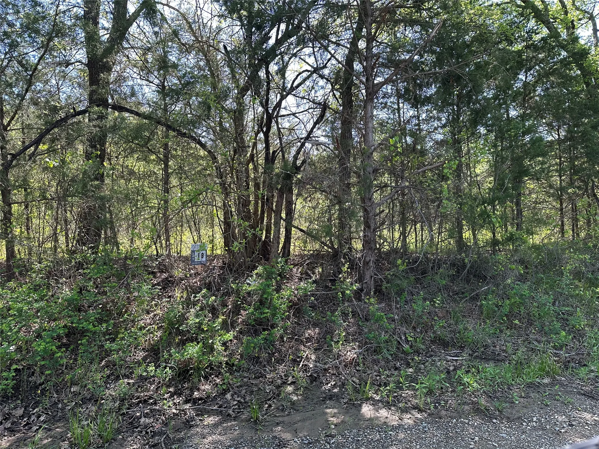 Unimproved Land For Sale in Fannin County , Tract 19 County Road 2960, Honey Grove, Texas 75446, 0, 0, Garage spaces, 0 Sqft, built in 0, mls#21210122, Real Estate Agent in Honey Grove, Homes For Sale in Fannin county, Homes For Sale in Honey Grove, Realtor in Honey Grove Texas, Real Estate Brokerage Independent Realty Texas, Luminita Cordes Realtor