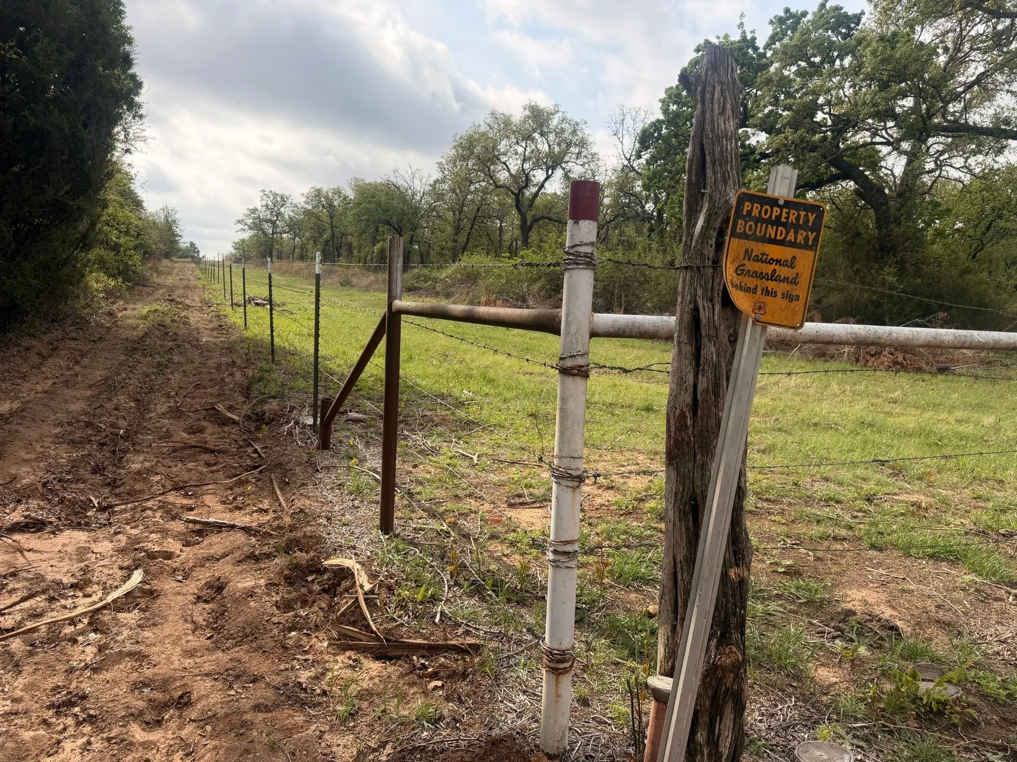 Fence with Fire Break and LBJ National Grasslands beyond
