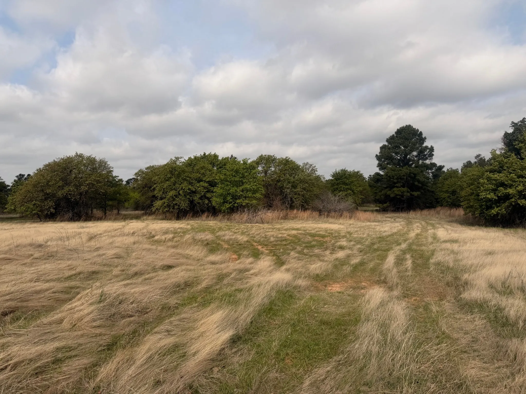 Pasture