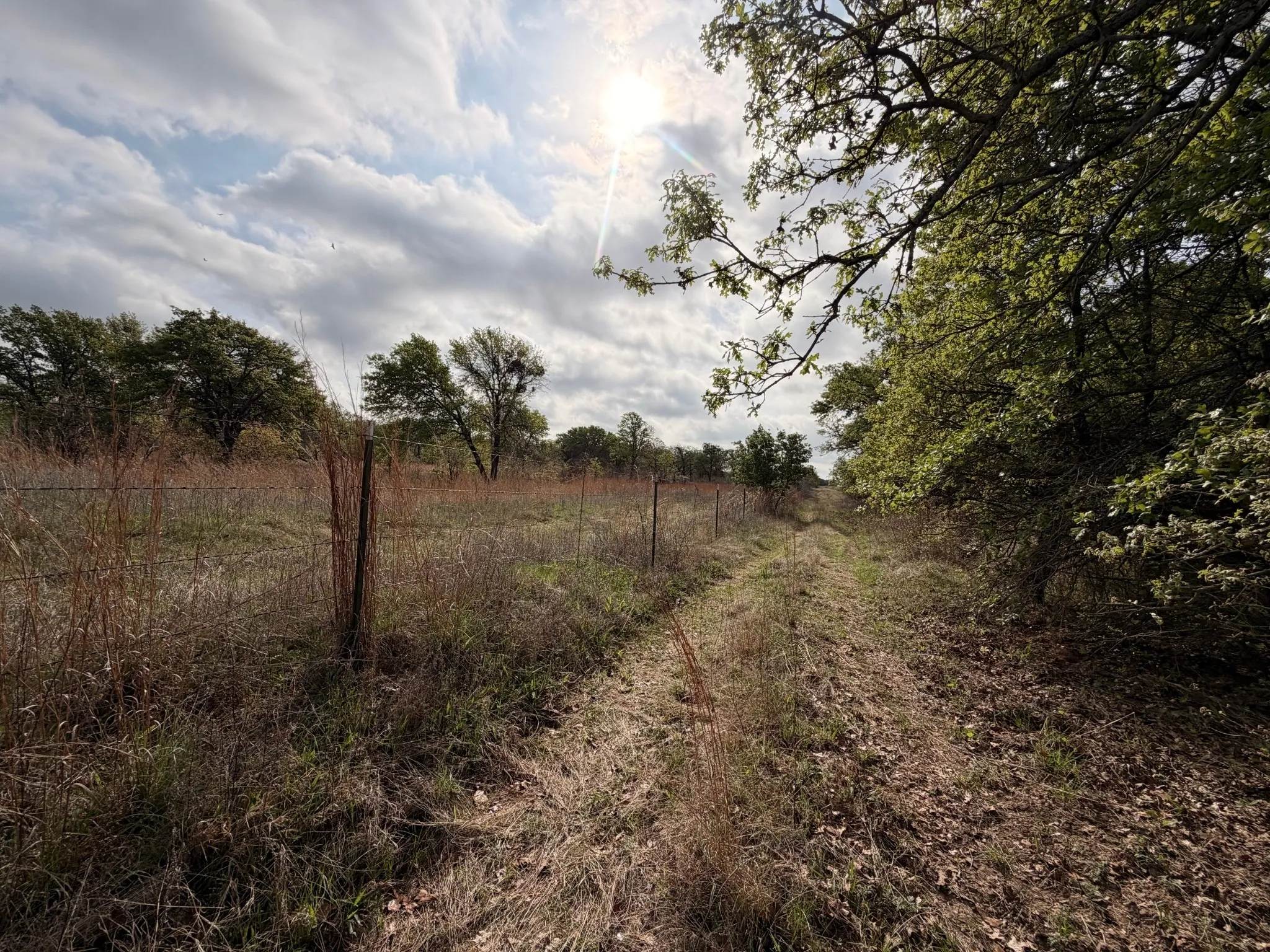 Fence Line with LBJ National Grasslands beyond
