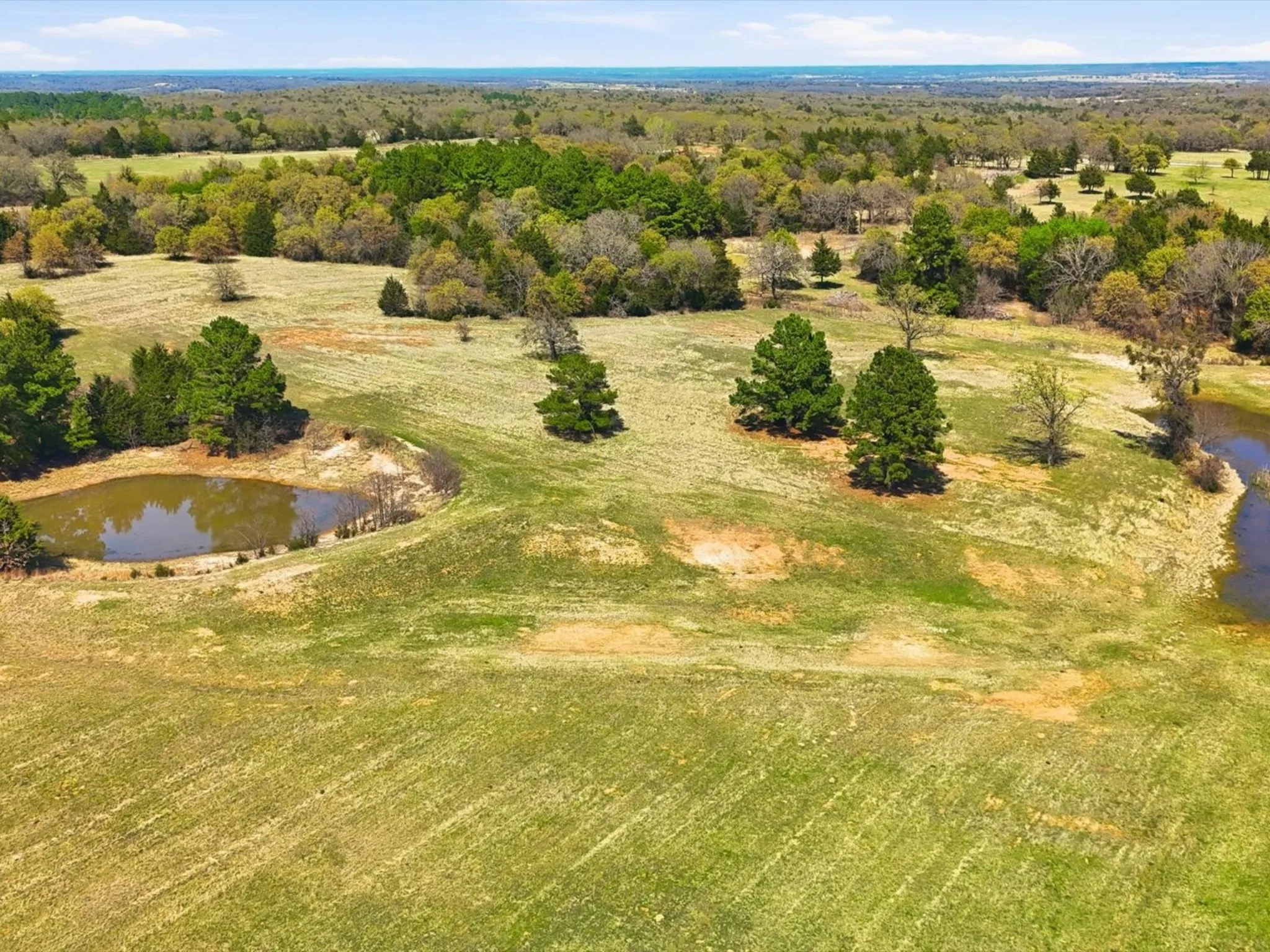 Pasture, stock tank, water shed, with some oaks and cedar in the background