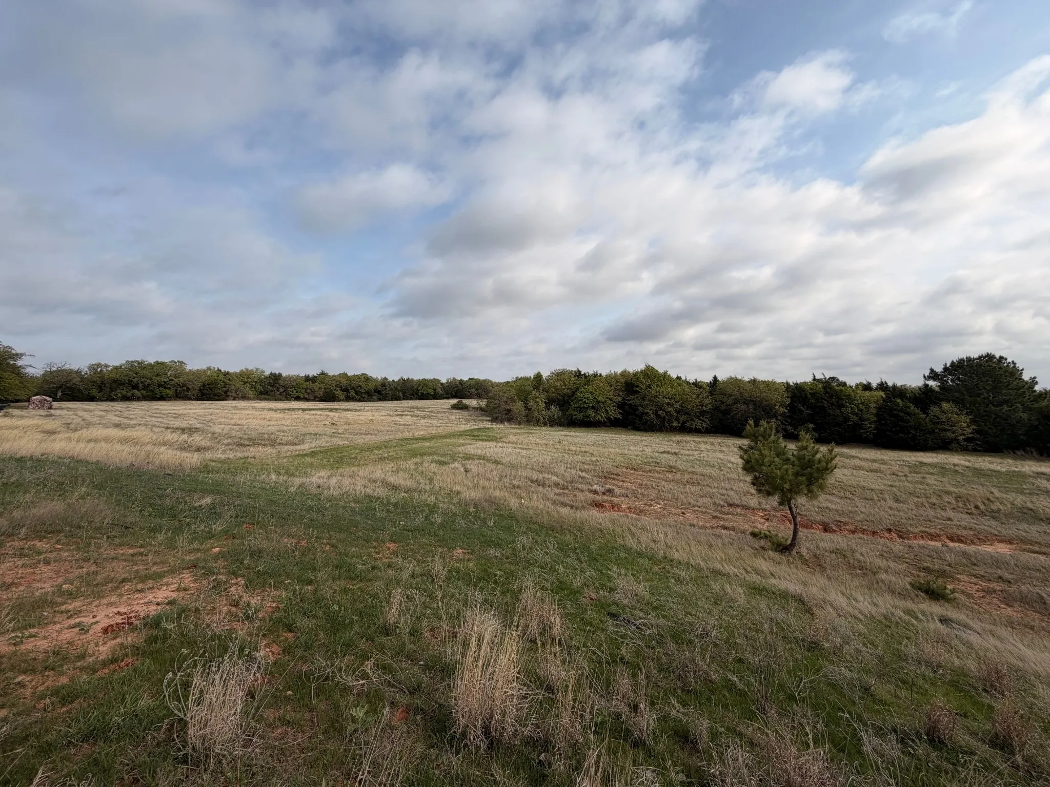 Pasture