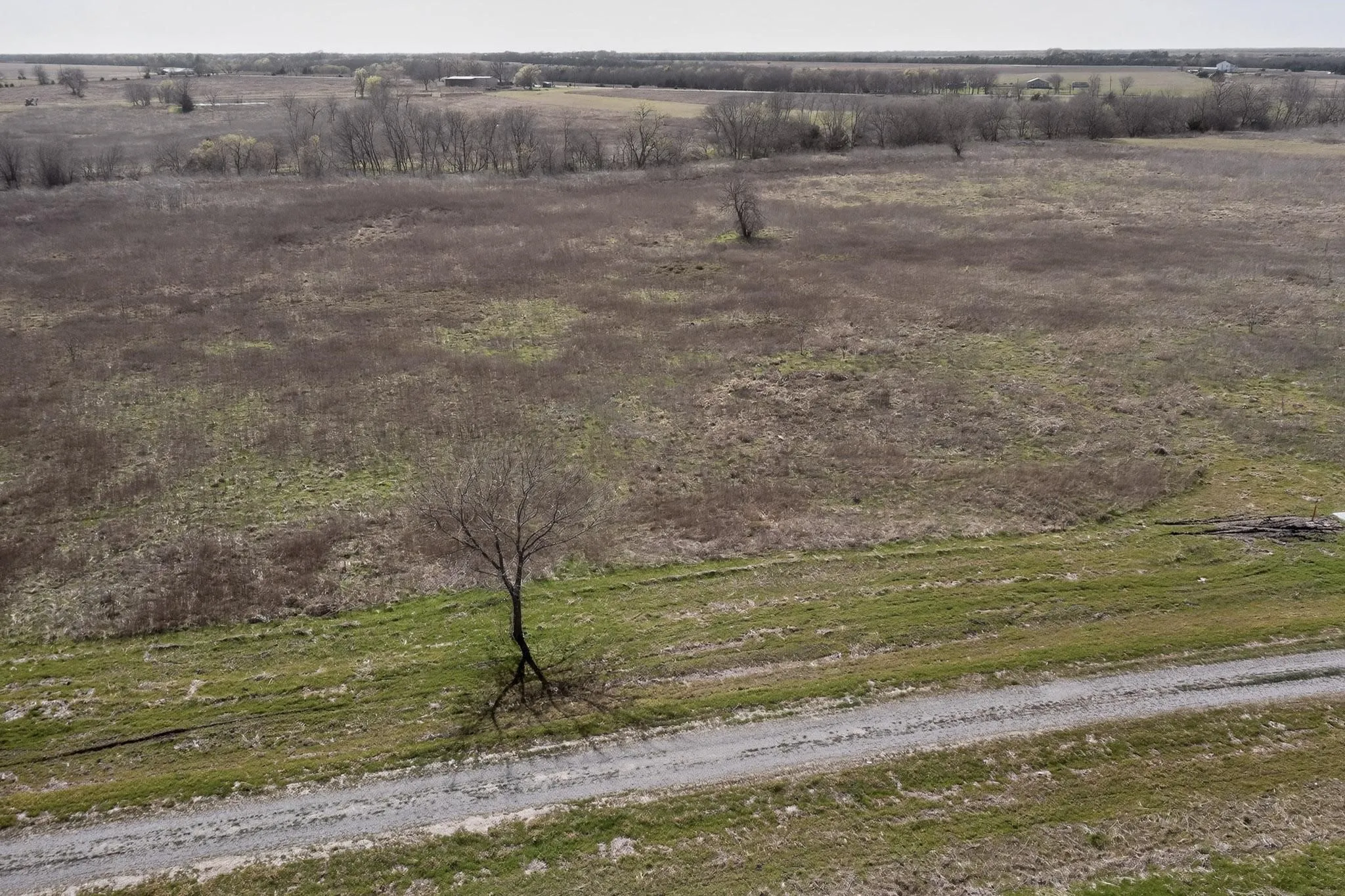 Improved Land For Sale in Delta County , Lot 34 FM 904, Pecan Gap, Texas 75469, 0, 0, Garage spaces, 0 Sqft, built in 0, Price $95,000, mls#21210347, Real Estate Agent in Pecan Gap, Homes For Sale in Delta county, Homes For Sale in Pecan Gap, Realtor in Pecan Gap Texas, Real Estate Brokerage Independent Realty Texas, Luminita Cordes Realtor