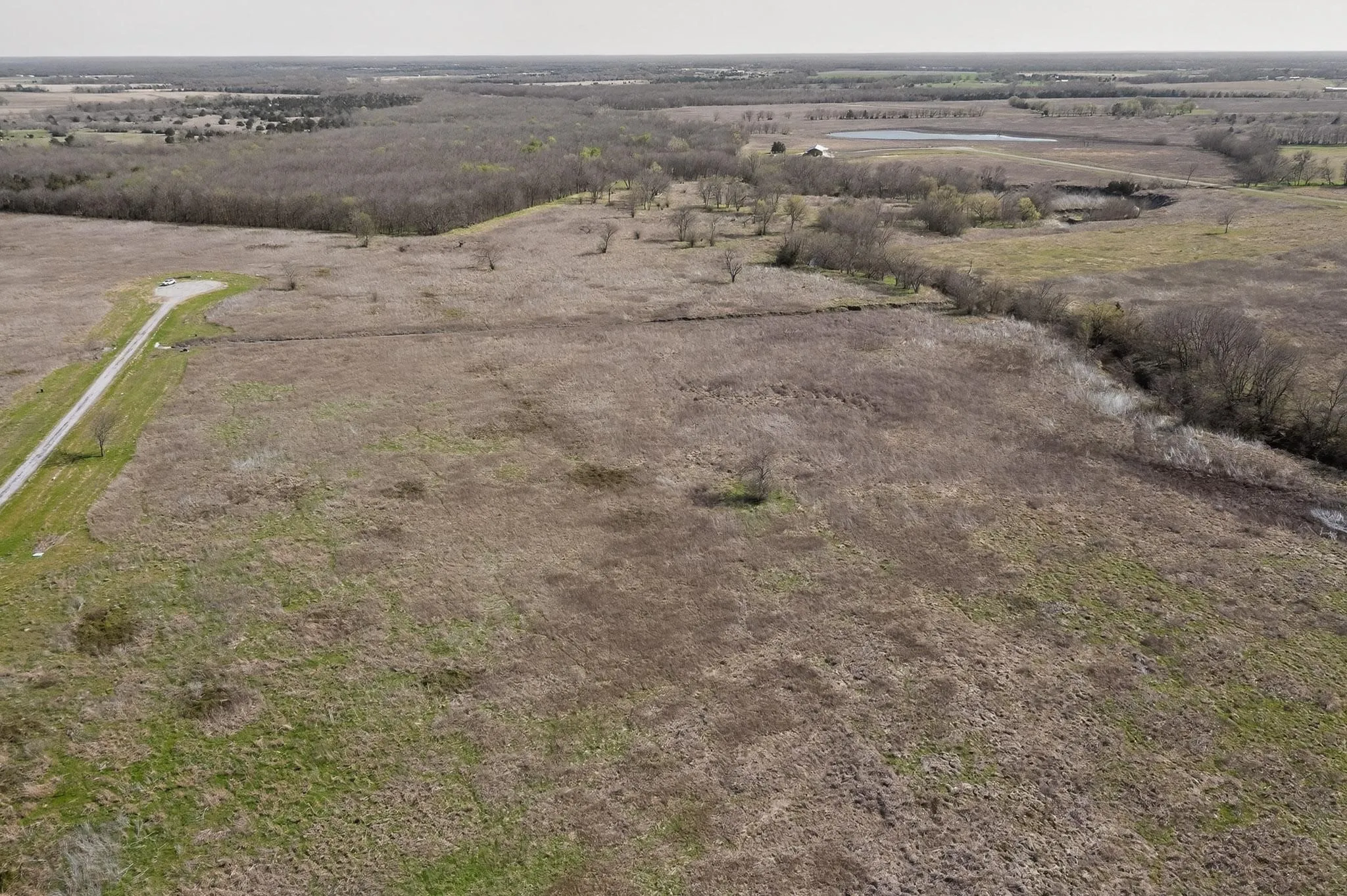 Improved Land For Sale in Delta County , Lot 34 FM 904, Pecan Gap, Texas 75469, 0, 0, Garage spaces, 0 Sqft, built in 0, Price $95,000, mls#21210347, Real Estate Agent in Pecan Gap, Homes For Sale in Delta county, Homes For Sale in Pecan Gap, Realtor in Pecan Gap Texas, Real Estate Brokerage Independent Realty Texas, Luminita Cordes Realtor