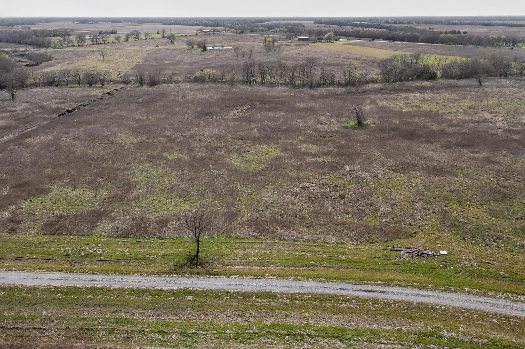 Improved Land For Sale in Delta County , Lot 34 FM 904, Pecan Gap, Texas 75469, 0, 0, Garage spaces, 0 Sqft, built in 0, Price $95,000, mls#21210347, Real Estate Agent in Pecan Gap, Homes For Sale in Delta county, Homes For Sale in Pecan Gap, Realtor in Pecan Gap Texas, Real Estate Brokerage Independent Realty Texas, Luminita Cordes Realtor