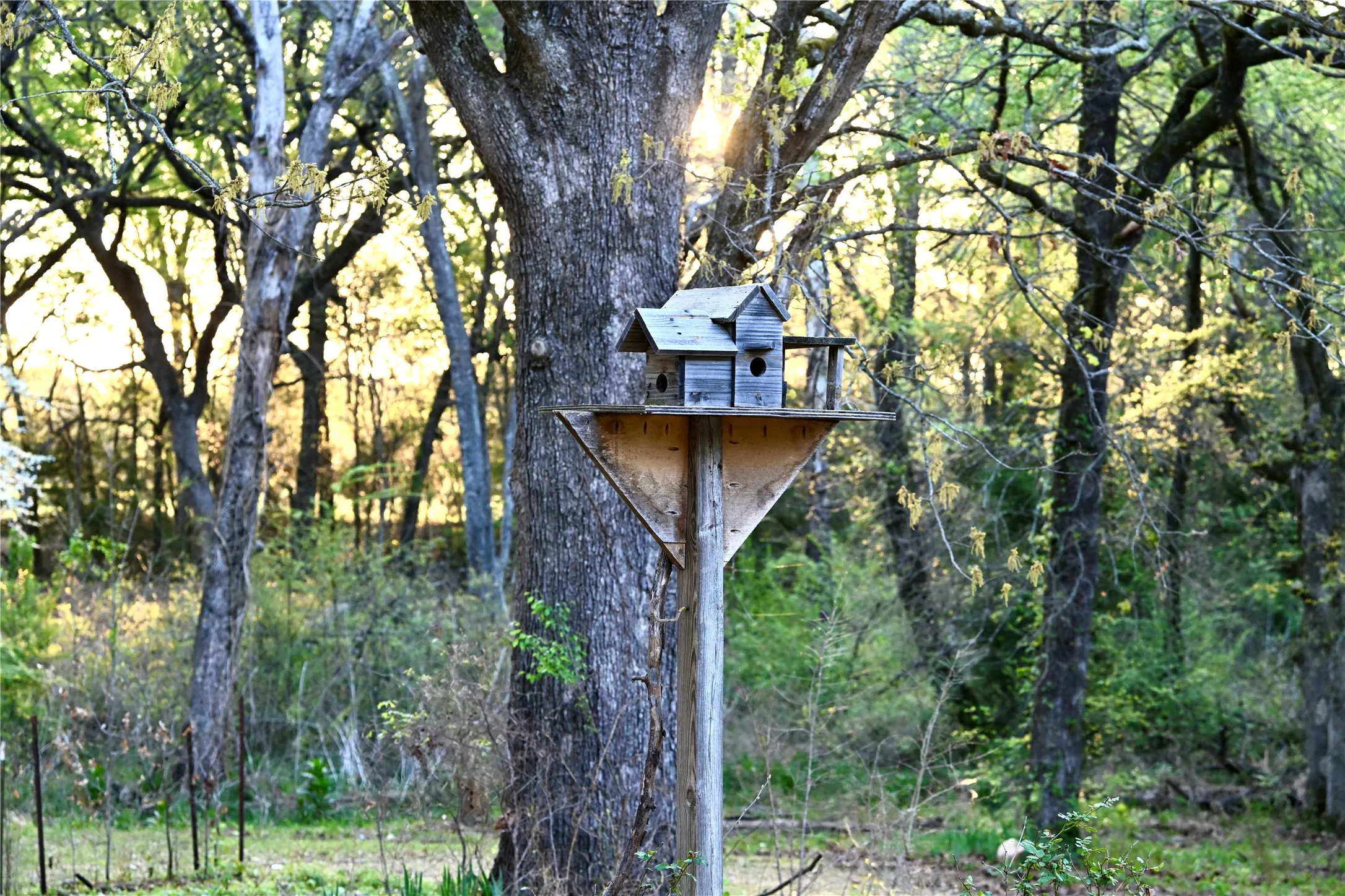 Single Family Residence For Sale in Fannin County , 2211 Fm 2029, Telephone, Texas 75488, 2 Bedrooms, 2 Bathrooms, Garage spaces, 1,952 Sqft, built in 1983, Price $519,000, mls#21210545, Real Estate Agent in Telephone, Homes For Sale in Fannin county, Homes For Sale in Telephone, Realtor in Telephone Texas, Real Estate Brokerage Independent Realty Texas, Luminita Cordes Realtor