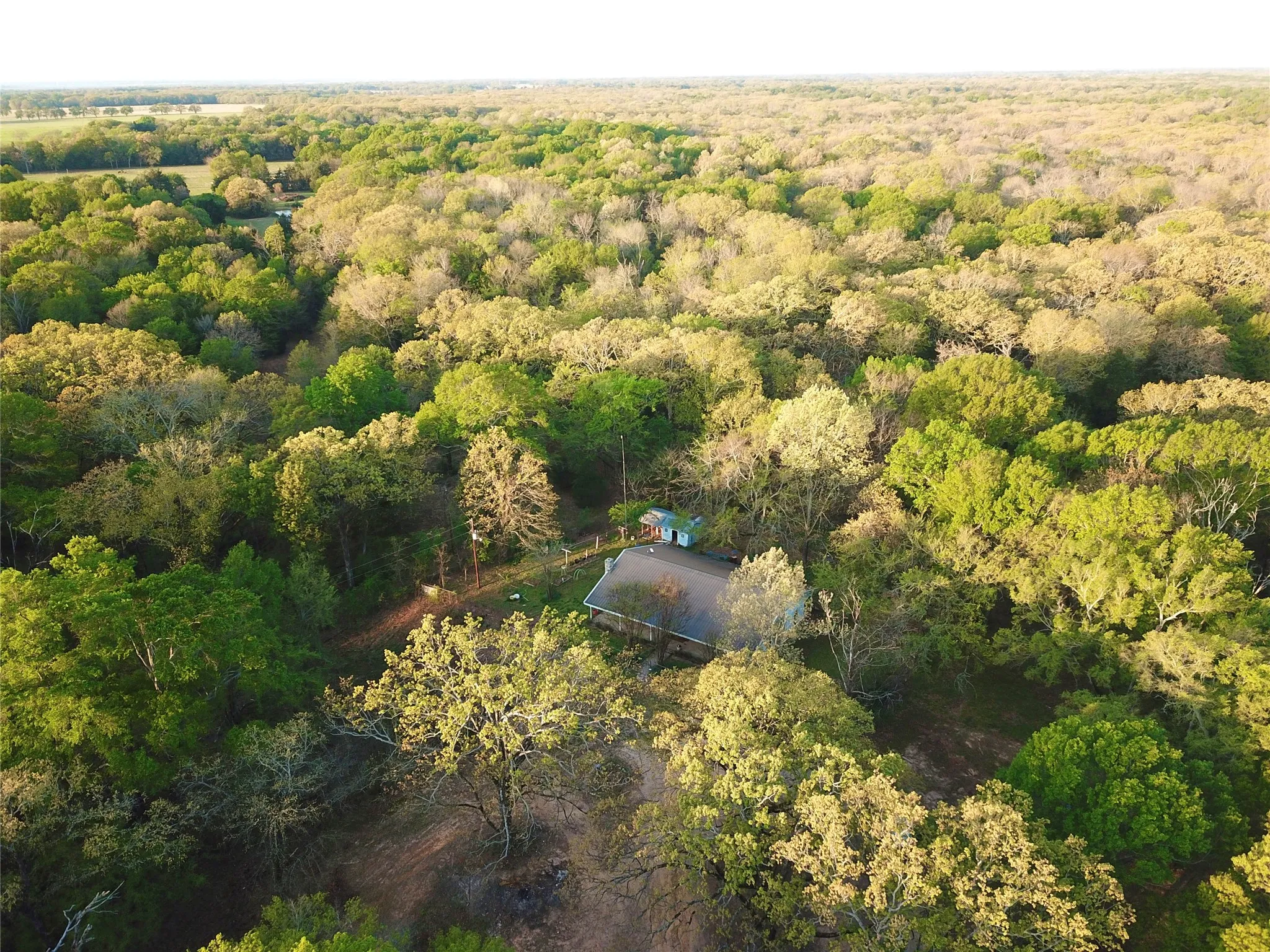 Single Family Residence For Sale in Fannin County , 2211 Fm 2029, Telephone, Texas 75488, 2 Bedrooms, 2 Bathrooms, Garage spaces, 1,952 Sqft, built in 1983, Price $519,000, mls#21210545, Real Estate Agent in Telephone, Homes For Sale in Fannin county, Homes For Sale in Telephone, Realtor in Telephone Texas, Real Estate Brokerage Independent Realty Texas, Luminita Cordes Realtor