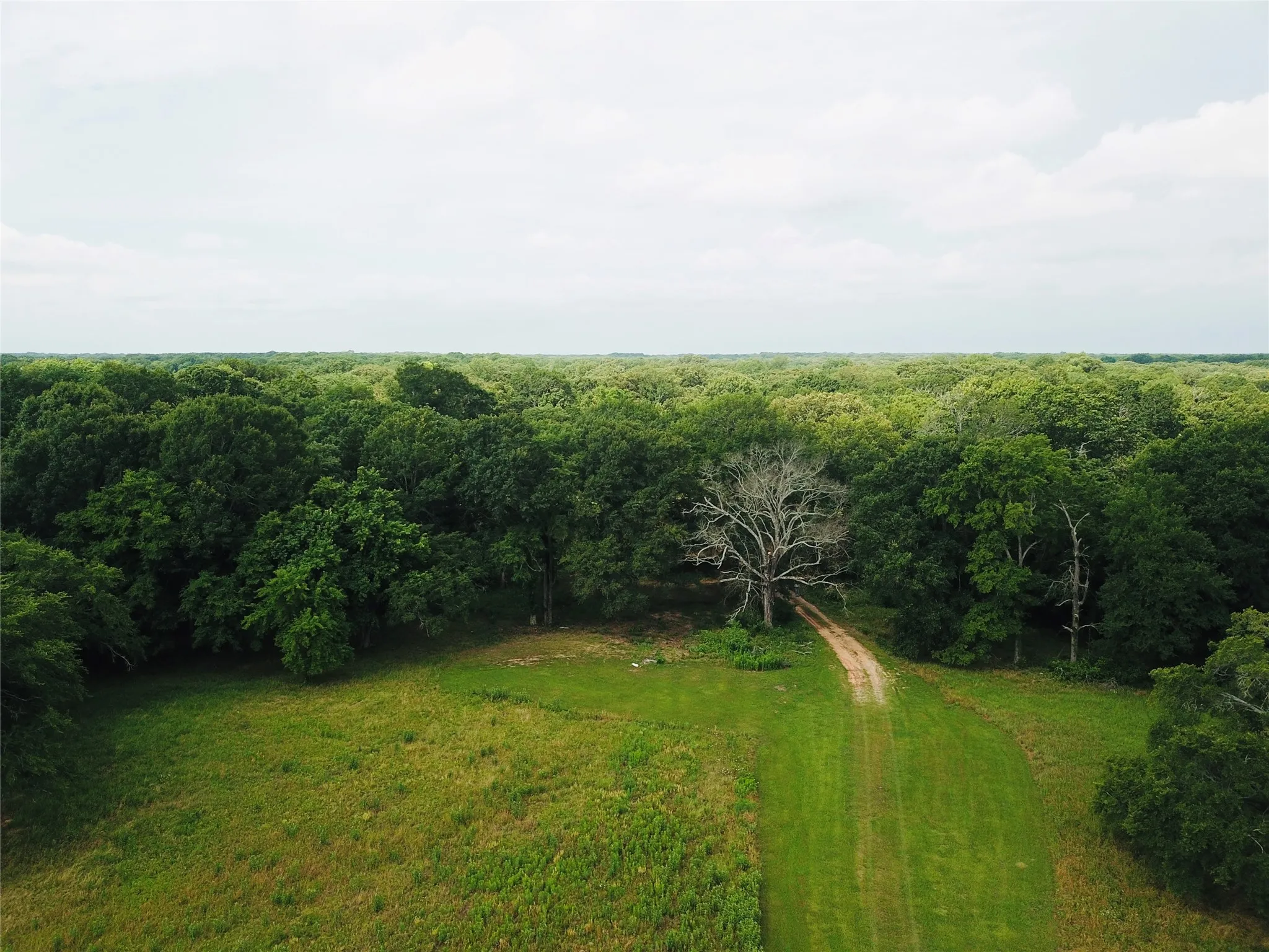 Single Family Residence For Sale in Fannin County , 2211 Fm 2029, Telephone, Texas 75488, 2 Bedrooms, 2 Bathrooms, Garage spaces, 1,952 Sqft, built in 1983, Price $519,000, mls#21210545, Real Estate Agent in Telephone, Homes For Sale in Fannin county, Homes For Sale in Telephone, Realtor in Telephone Texas, Real Estate Brokerage Independent Realty Texas, Luminita Cordes Realtor