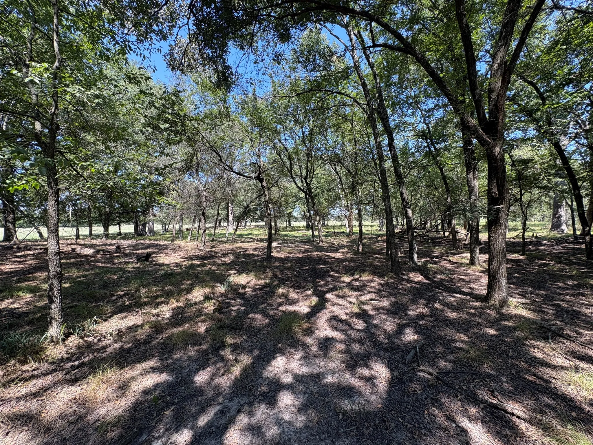 Improved Land For Sale in Hopkins County , TBD County Road 1168 3, Brashear, Texas 75420, 0, 0, Garage spaces, 0 Sqft, built in 0, mls#21209462, Real Estate Agent in Brashear, Homes For Sale in Hopkins county, Homes For Sale in Brashear, Realtor in Brashear Texas, Real Estate Brokerage Independent Realty Texas, Luminita Cordes Realtor