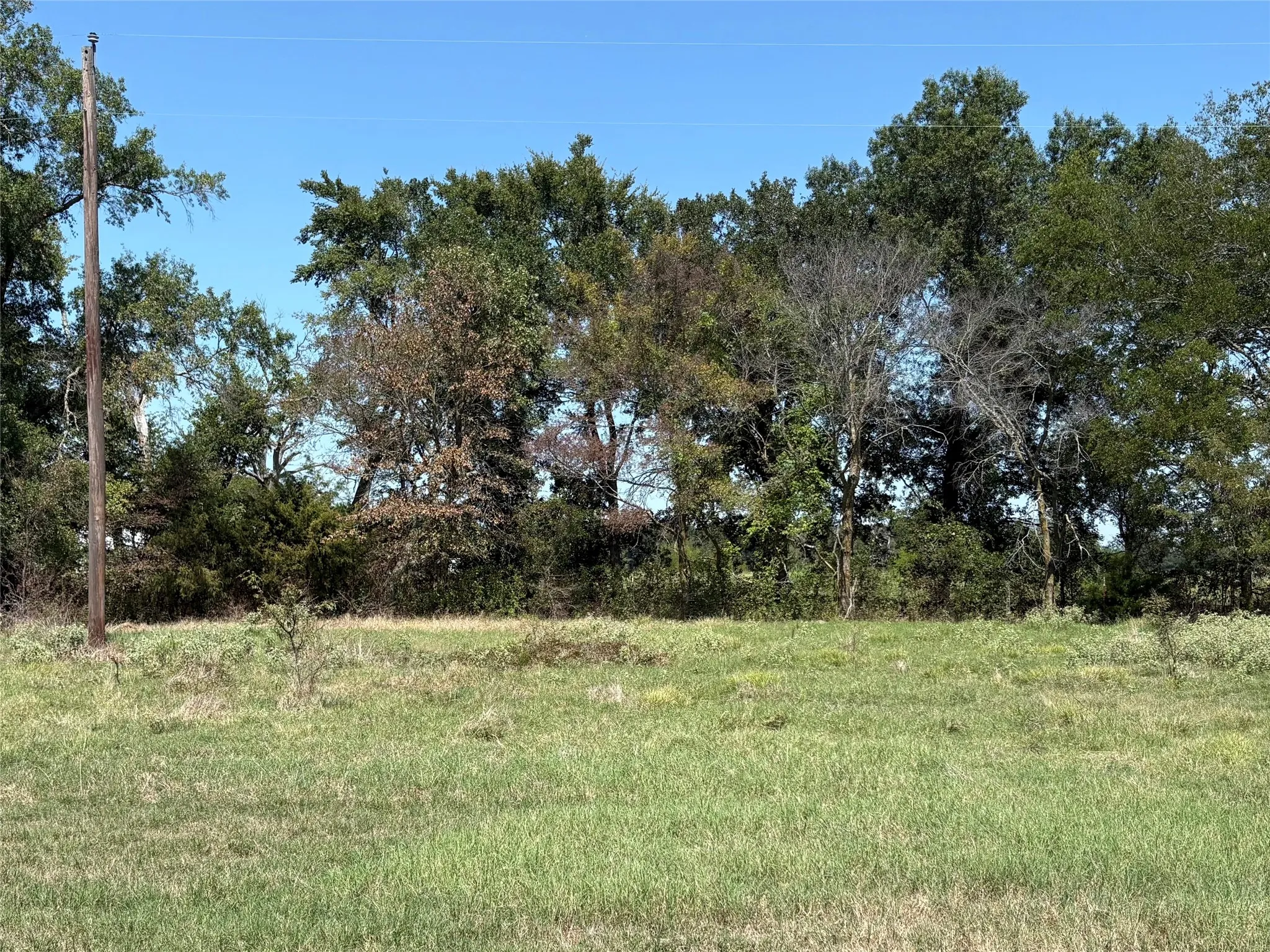Improved Land For Sale in Hopkins County , TBD County Road 1168 3, Brashear, Texas 75420, 0, 0, Garage spaces, 0 Sqft, built in 0, mls#21209462, Real Estate Agent in Brashear, Homes For Sale in Hopkins county, Homes For Sale in Brashear, Realtor in Brashear Texas, Real Estate Brokerage Independent Realty Texas, Luminita Cordes Realtor