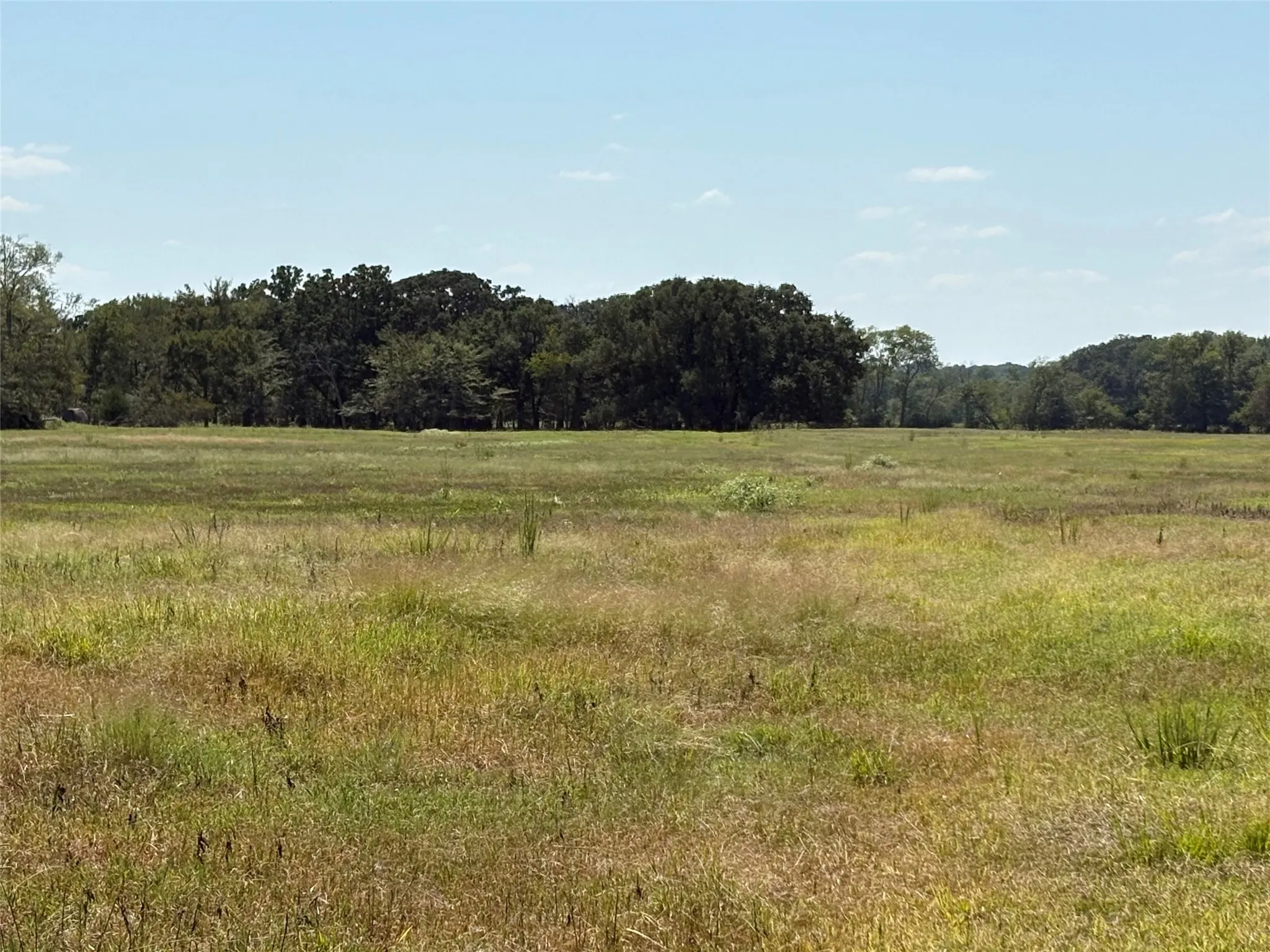 Improved Land For Sale in Hopkins County , TBD County Road 1168 3, Brashear, Texas 75420, 0, 0, Garage spaces, 0 Sqft, built in 0, mls#21209462, Real Estate Agent in Brashear, Homes For Sale in Hopkins county, Homes For Sale in Brashear, Realtor in Brashear Texas, Real Estate Brokerage Independent Realty Texas, Luminita Cordes Realtor