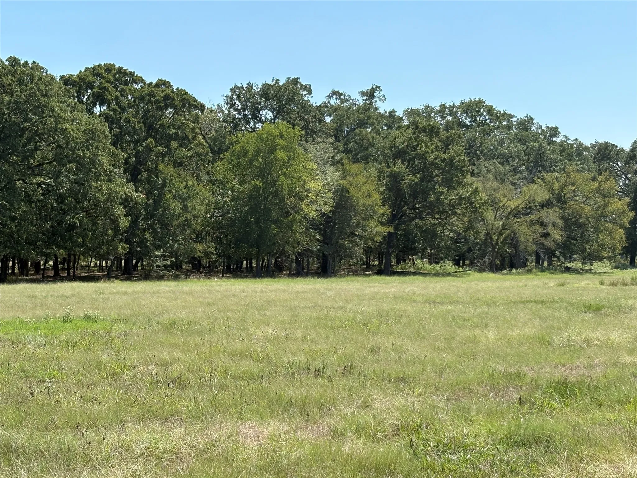 Improved Land For Sale in Hopkins County , TBD County Road 1168 3, Brashear, Texas 75420, 0, 0, Garage spaces, 0 Sqft, built in 0, mls#21209462, Real Estate Agent in Brashear, Homes For Sale in Hopkins county, Homes For Sale in Brashear, Realtor in Brashear Texas, Real Estate Brokerage Independent Realty Texas, Luminita Cordes Realtor